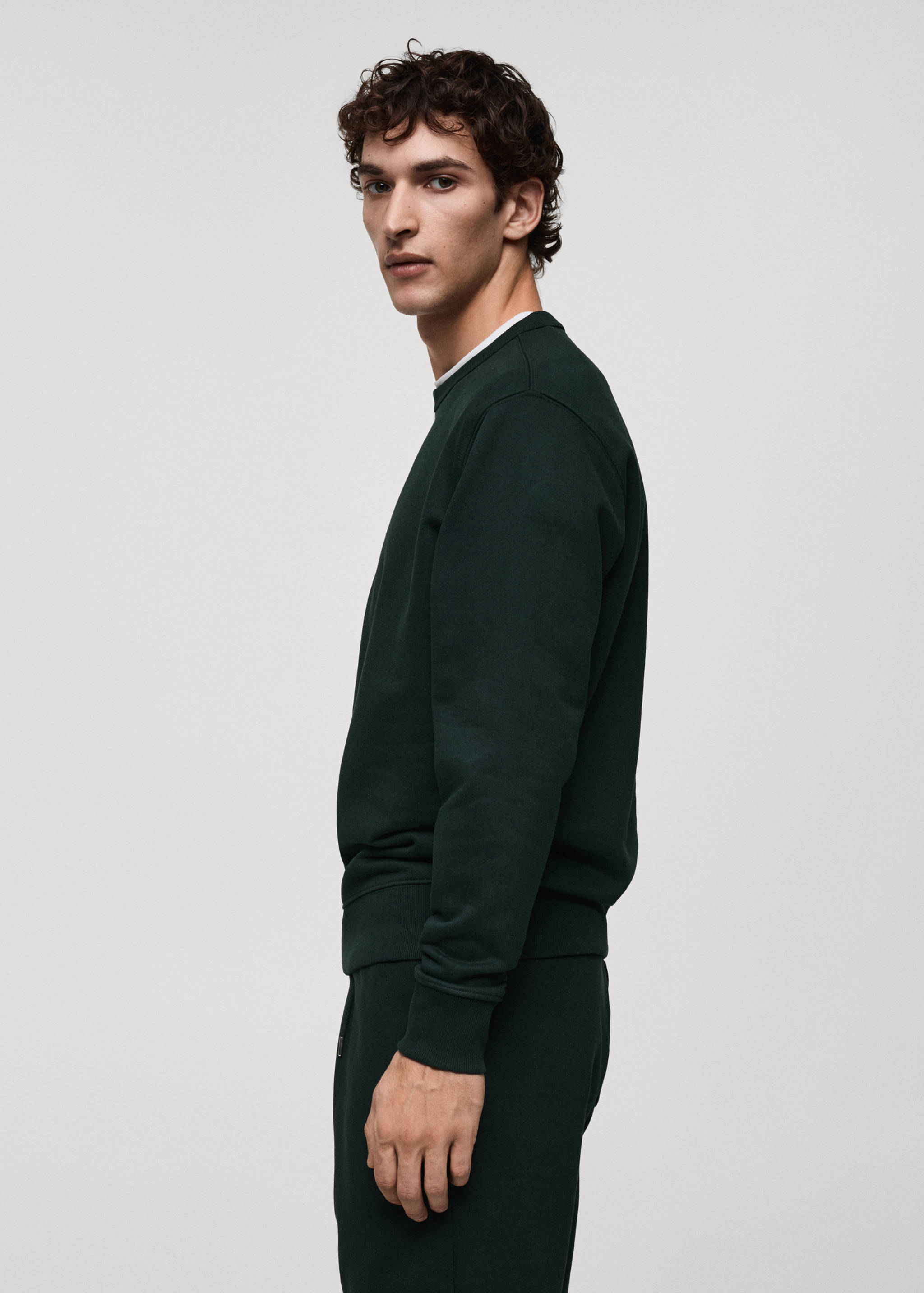 Regular-fit cotton sweatshirt - Details of the article 2