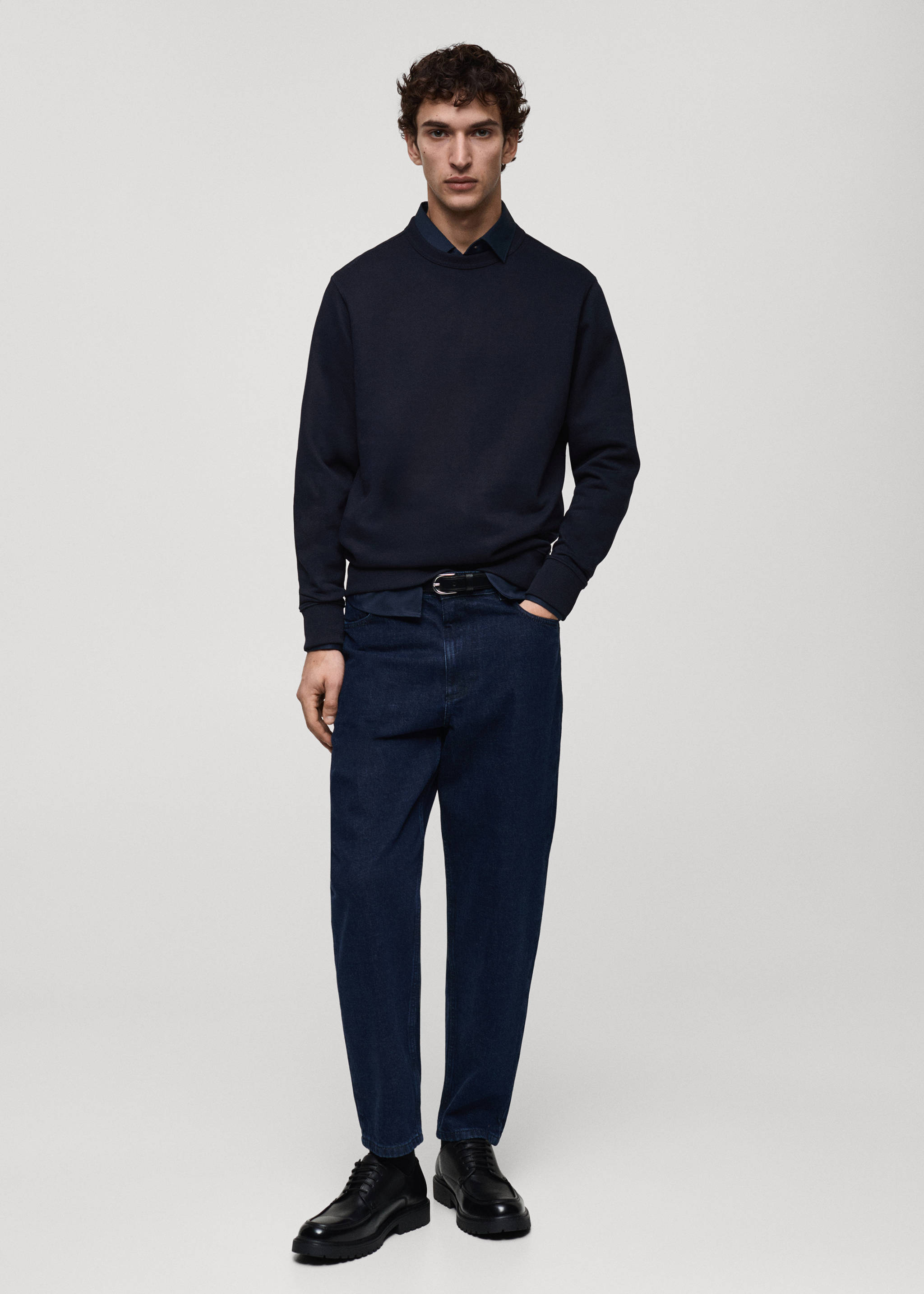 Regular-fit cotton sweatshirt - General plane