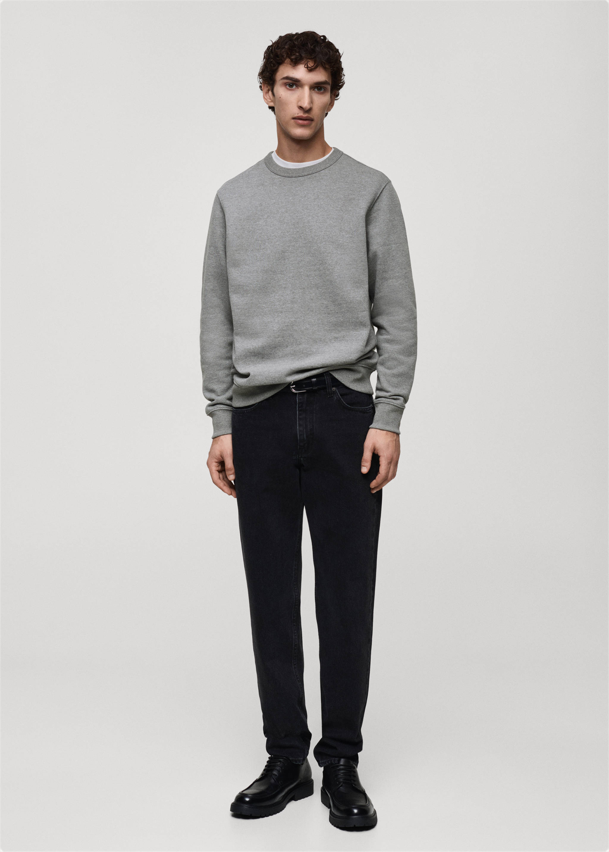 Regular-fit cotton sweatshirt - General plane