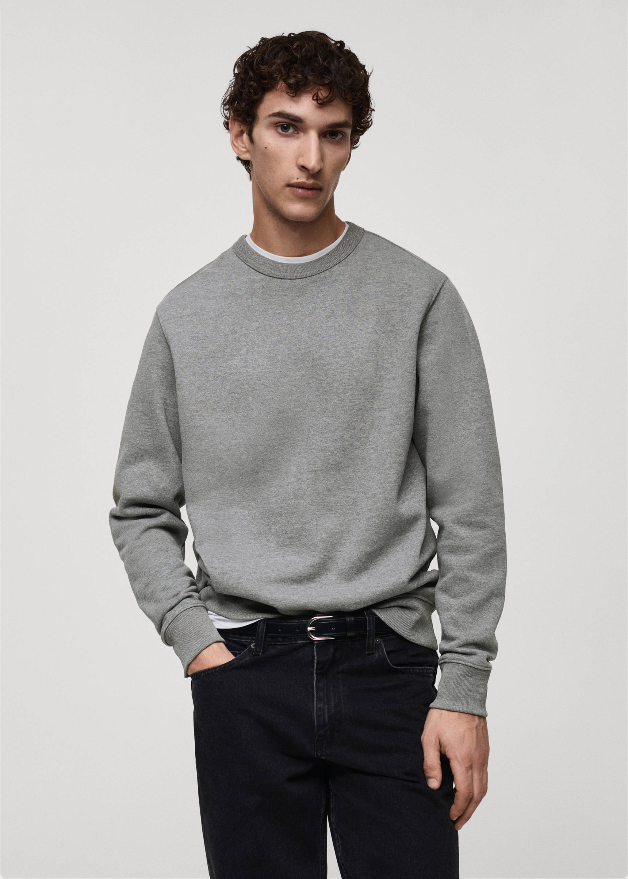 Regular-fit cotton sweatshirt - Medium plane