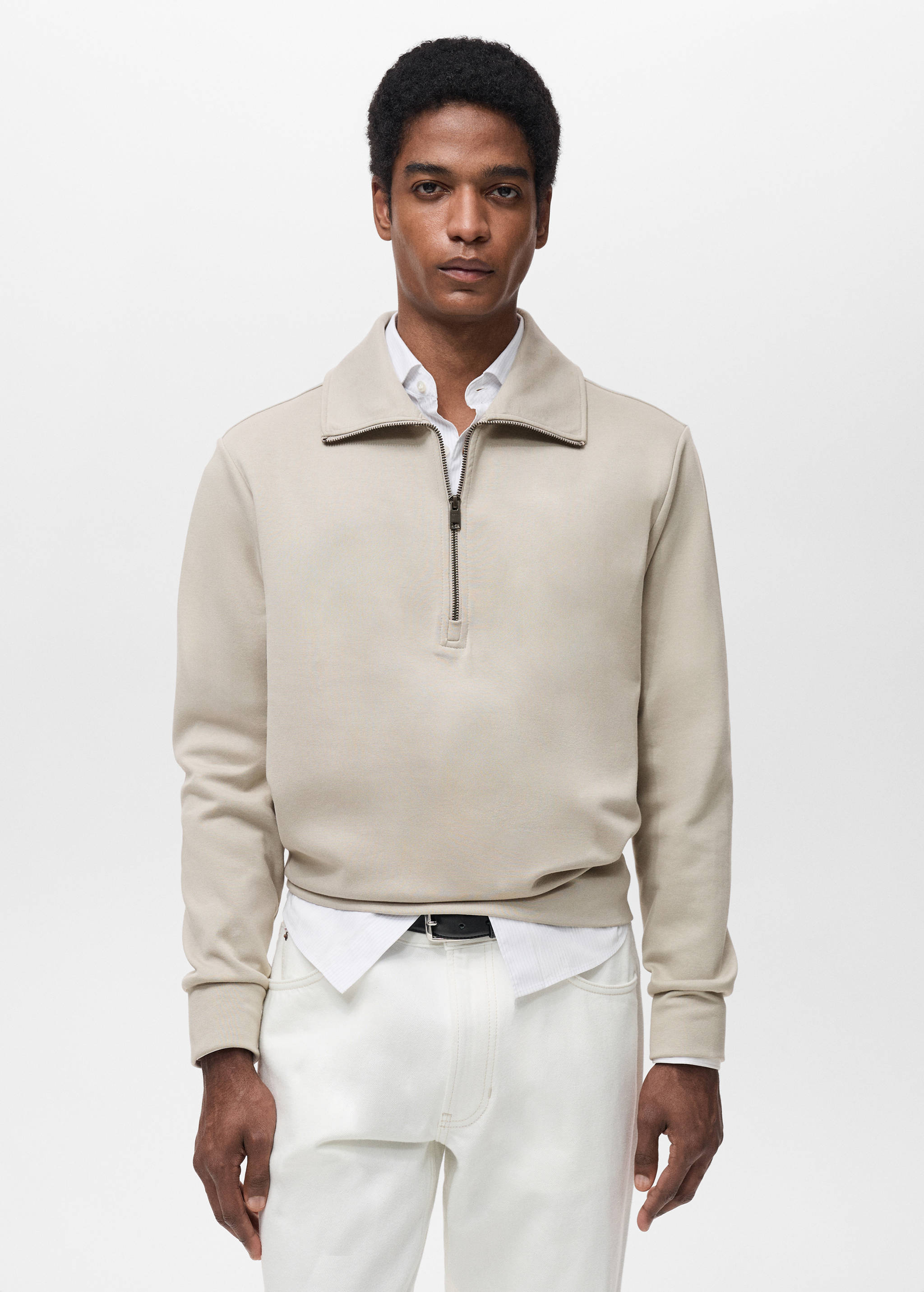 Regular-fit cotton sweatshirt with zipper - Medium plane