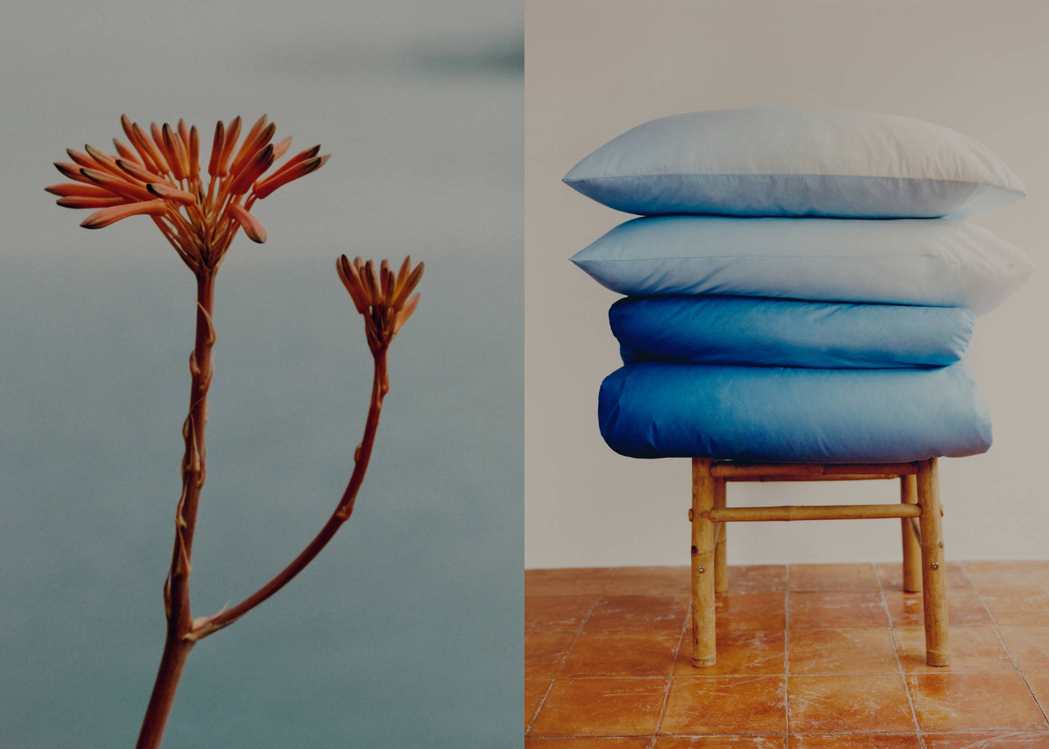 Two percale cotton tie-dye pillowcases 50x75 cm - Panoramic plane