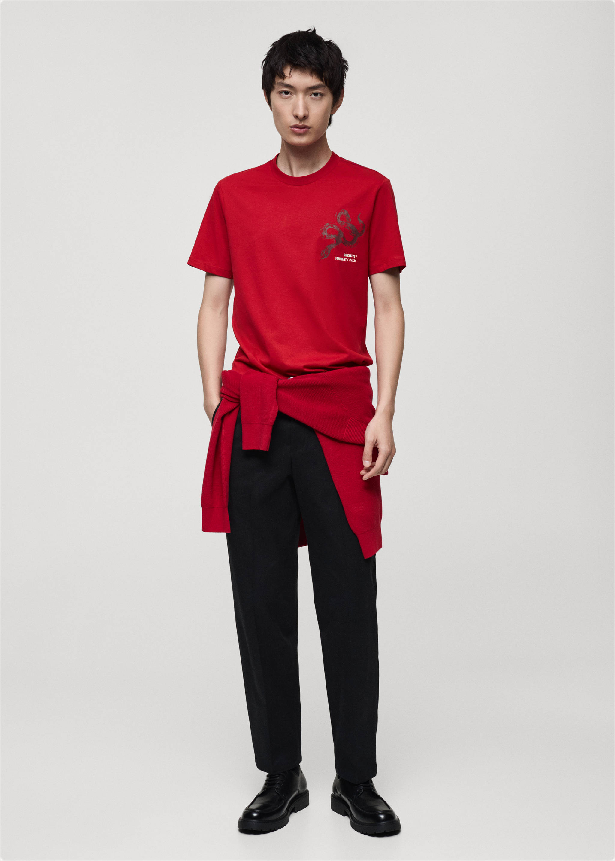 T-shirt 100 % coton imprimé combiné slim-fit - Plan général