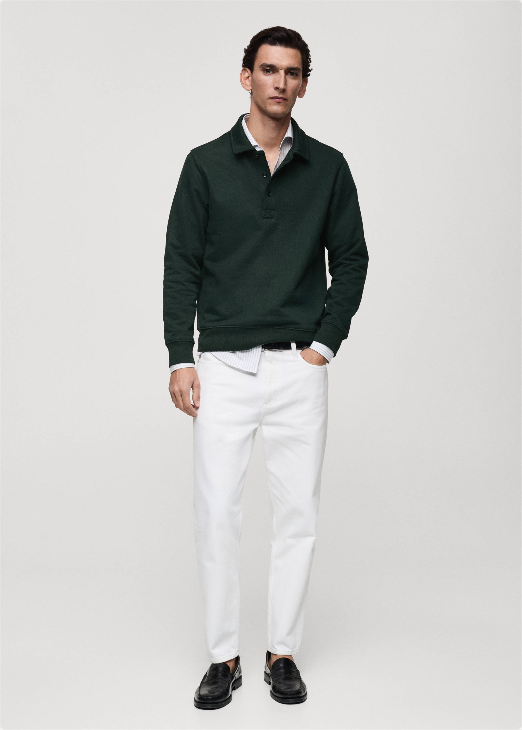 Brushed regular-fit polo sweatshirt - General plane