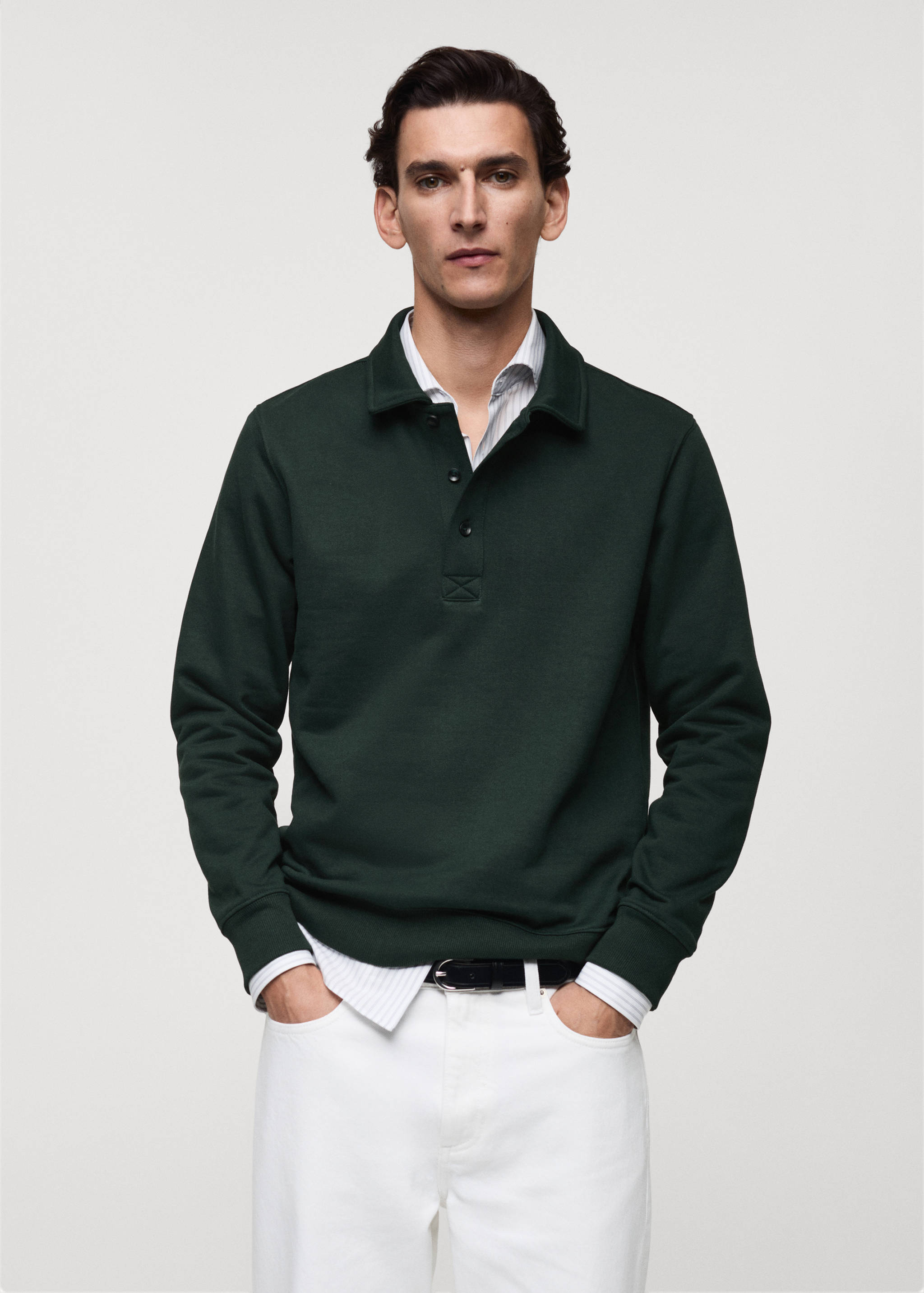 Brushed regular-fit polo sweatshirt - Medium plane