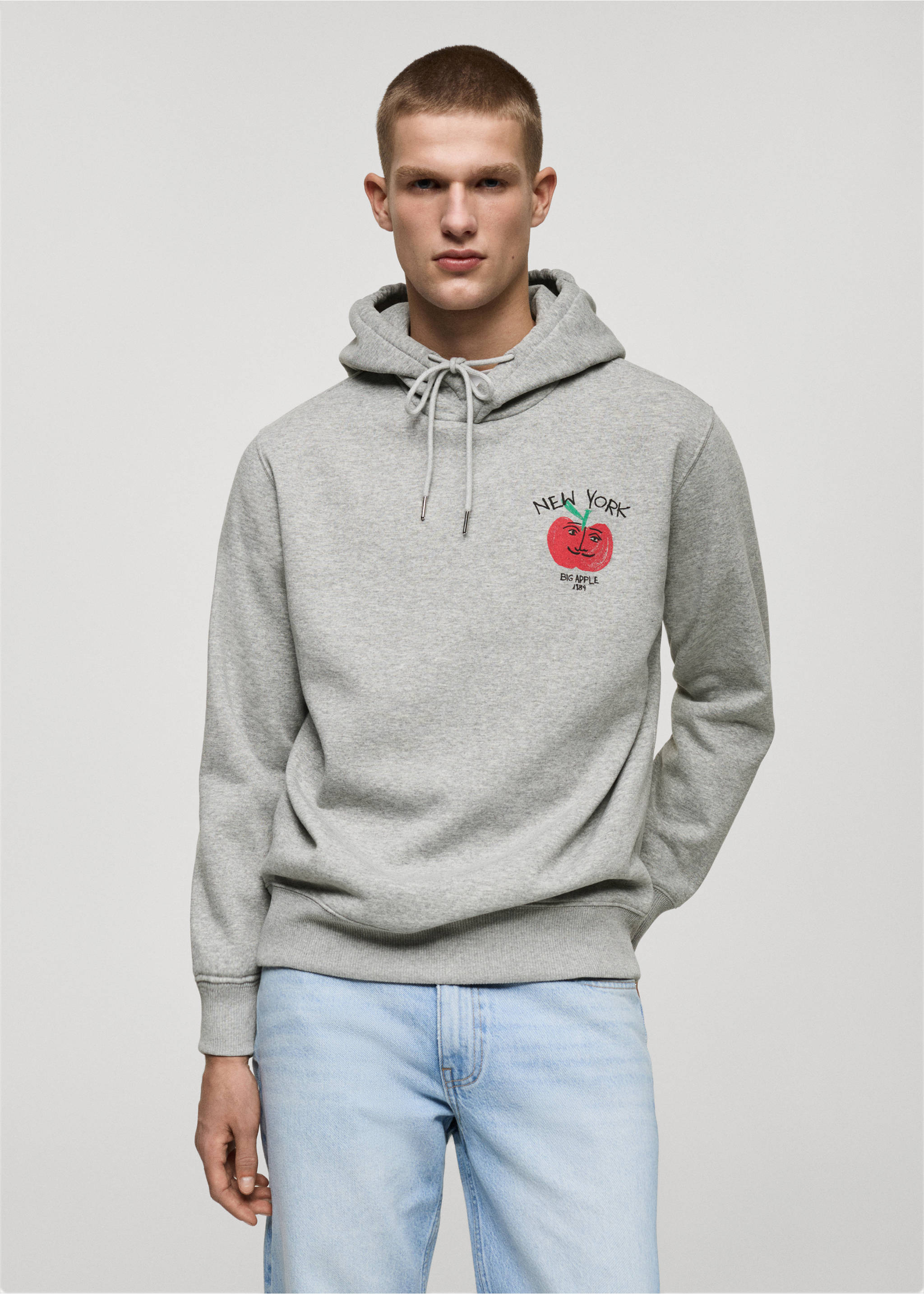 Graphic hooded sweatshirt - Medium plane, Light Heather Grey. Ref: 87020639-00.