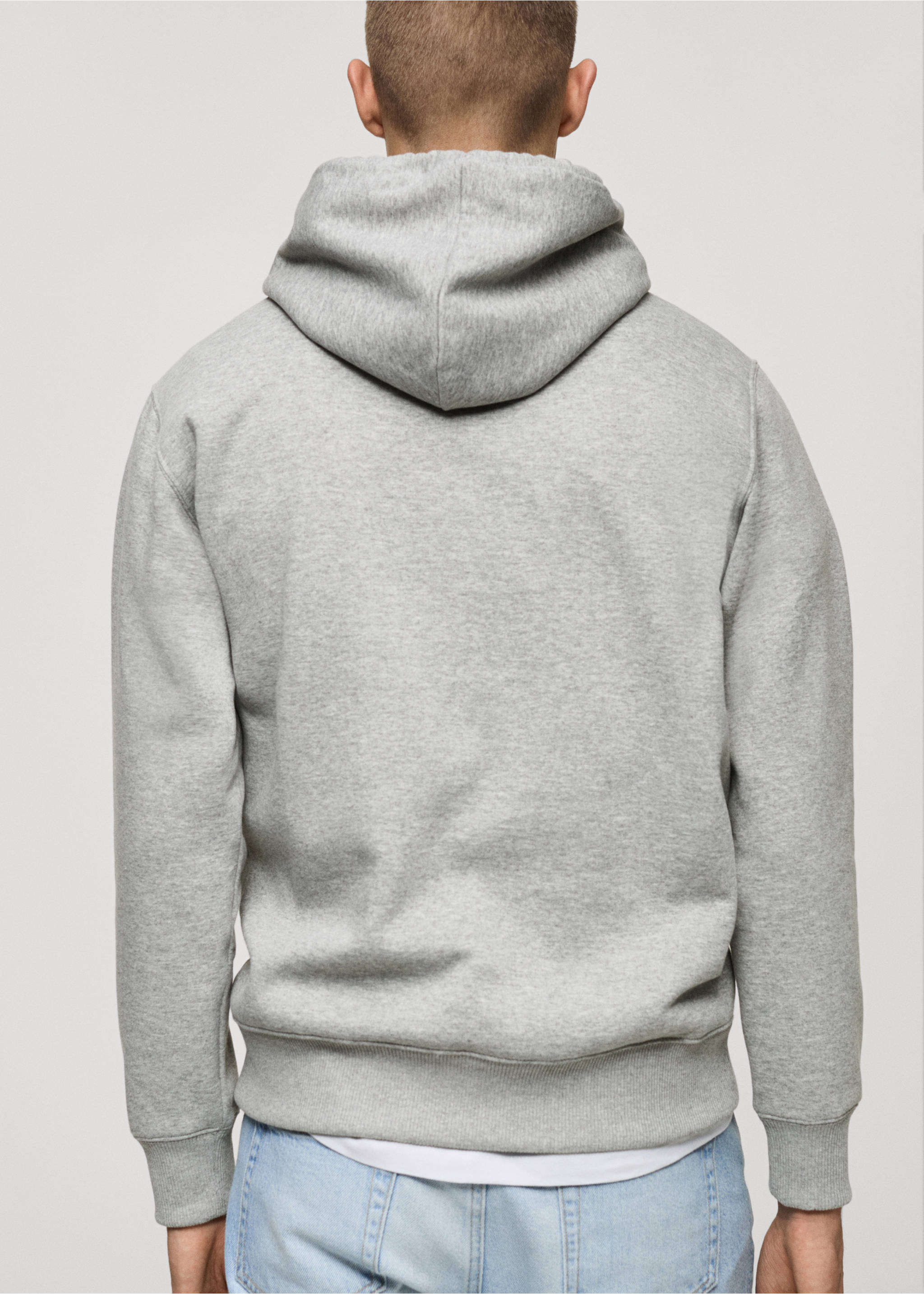 Graphic hooded sweatshirt - Reverse of the article, Light Heather Grey. Ref: 87020639-00.