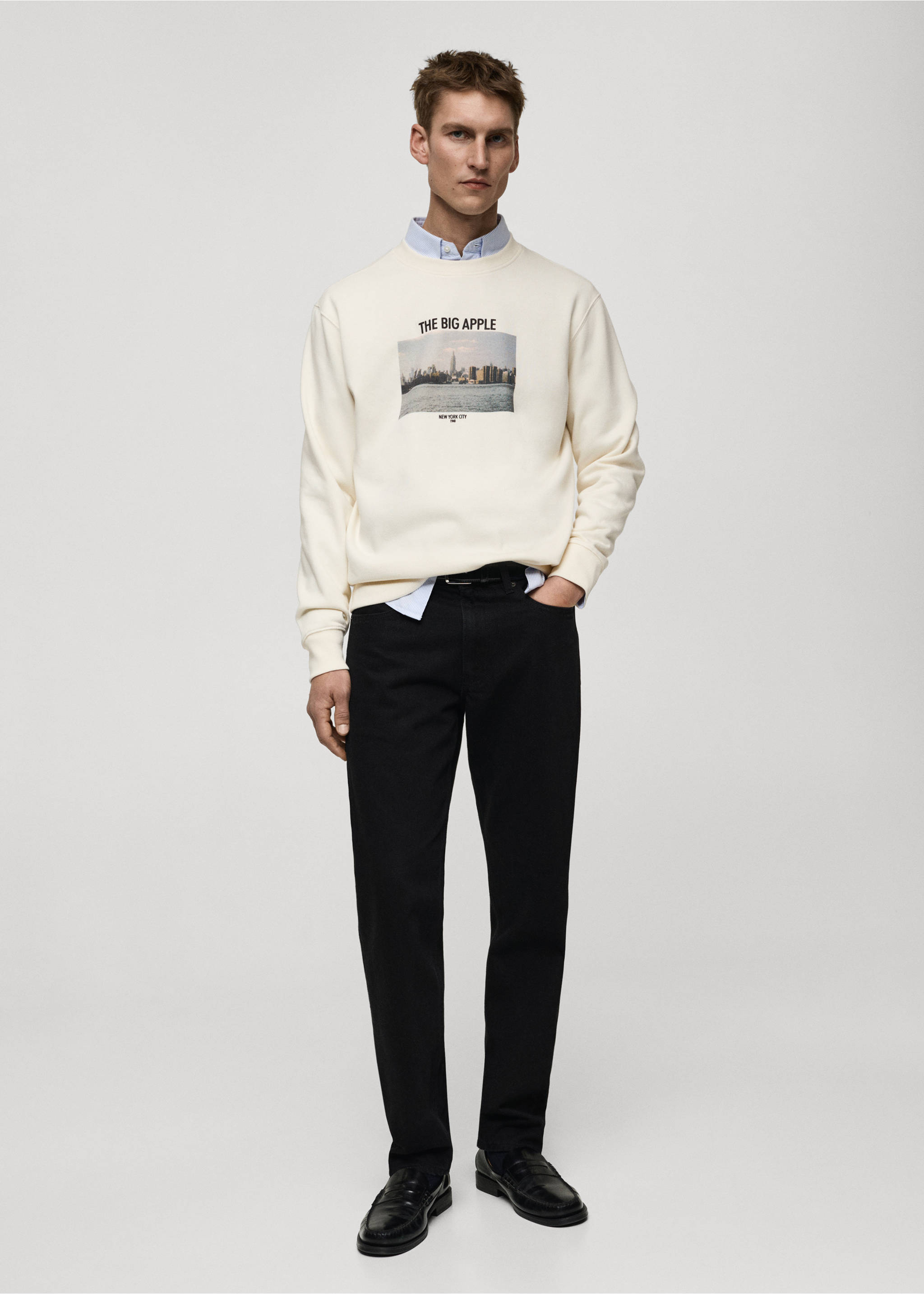 Graphic-print cotton sweatshirt - General plane, Beige. Ref: 87020640-00.