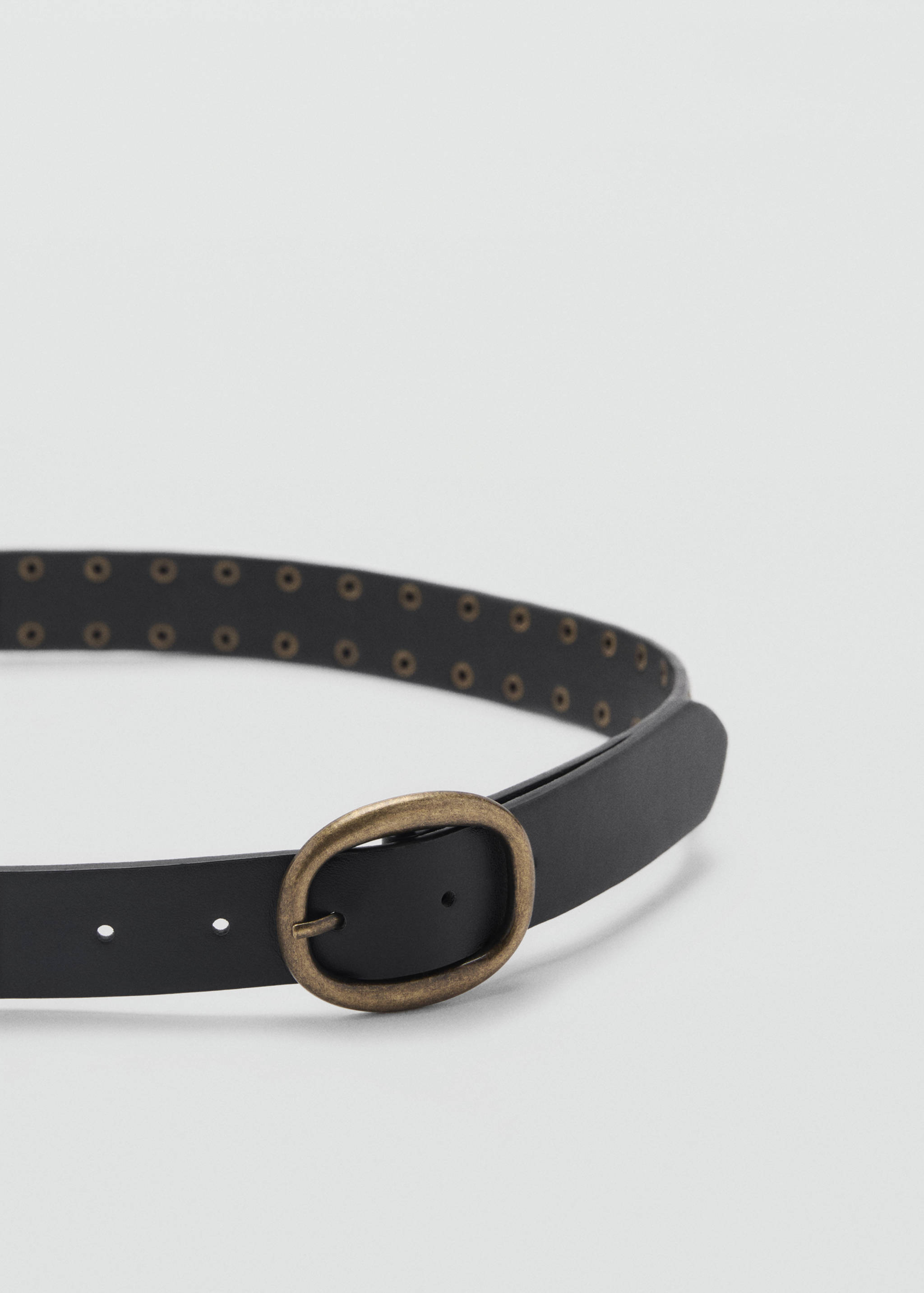 Decorative studded belt - Medium plane