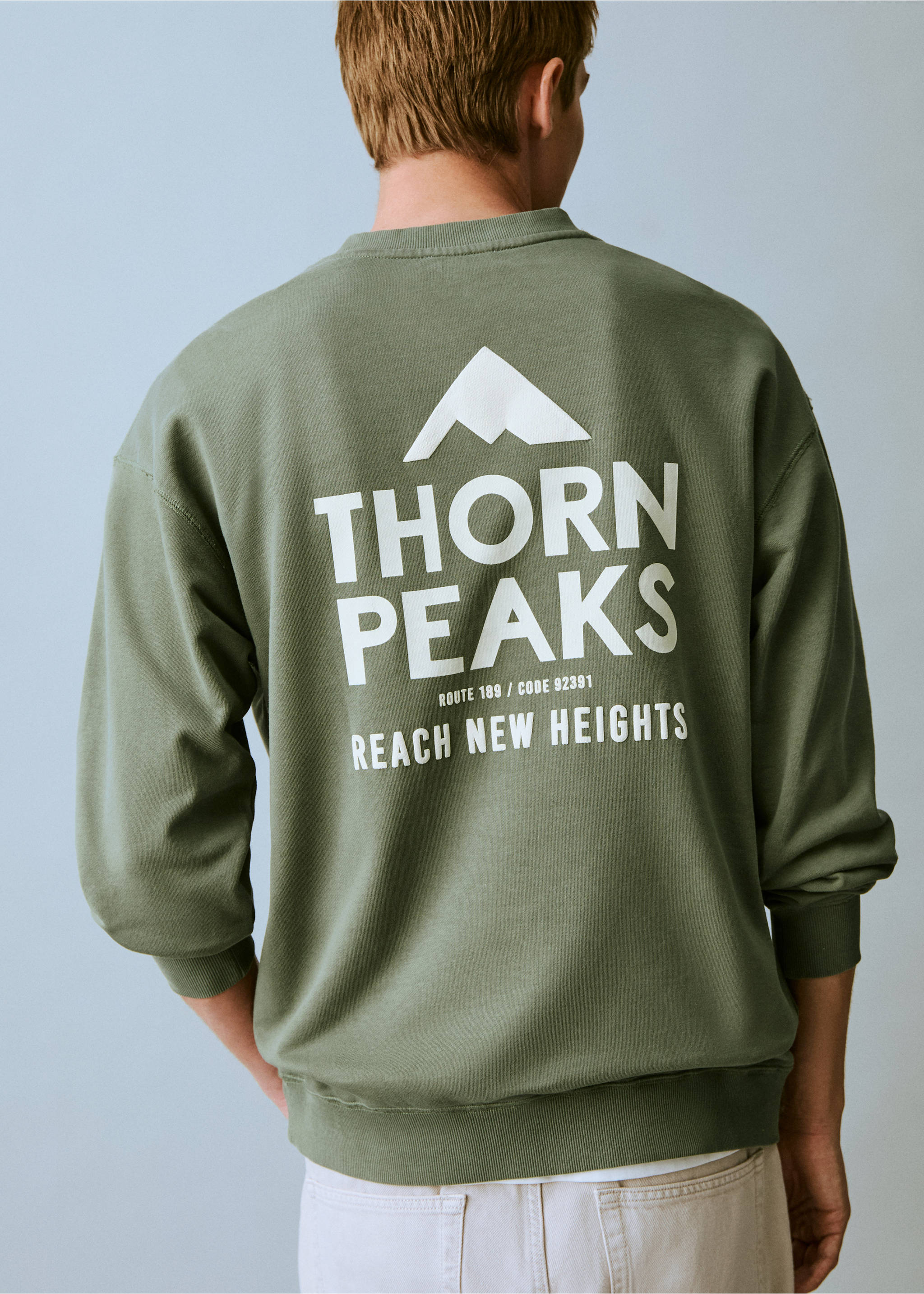 Message cotton sweatshirt - Reverse of the article, Mint Green. Ref: 87024095-00.