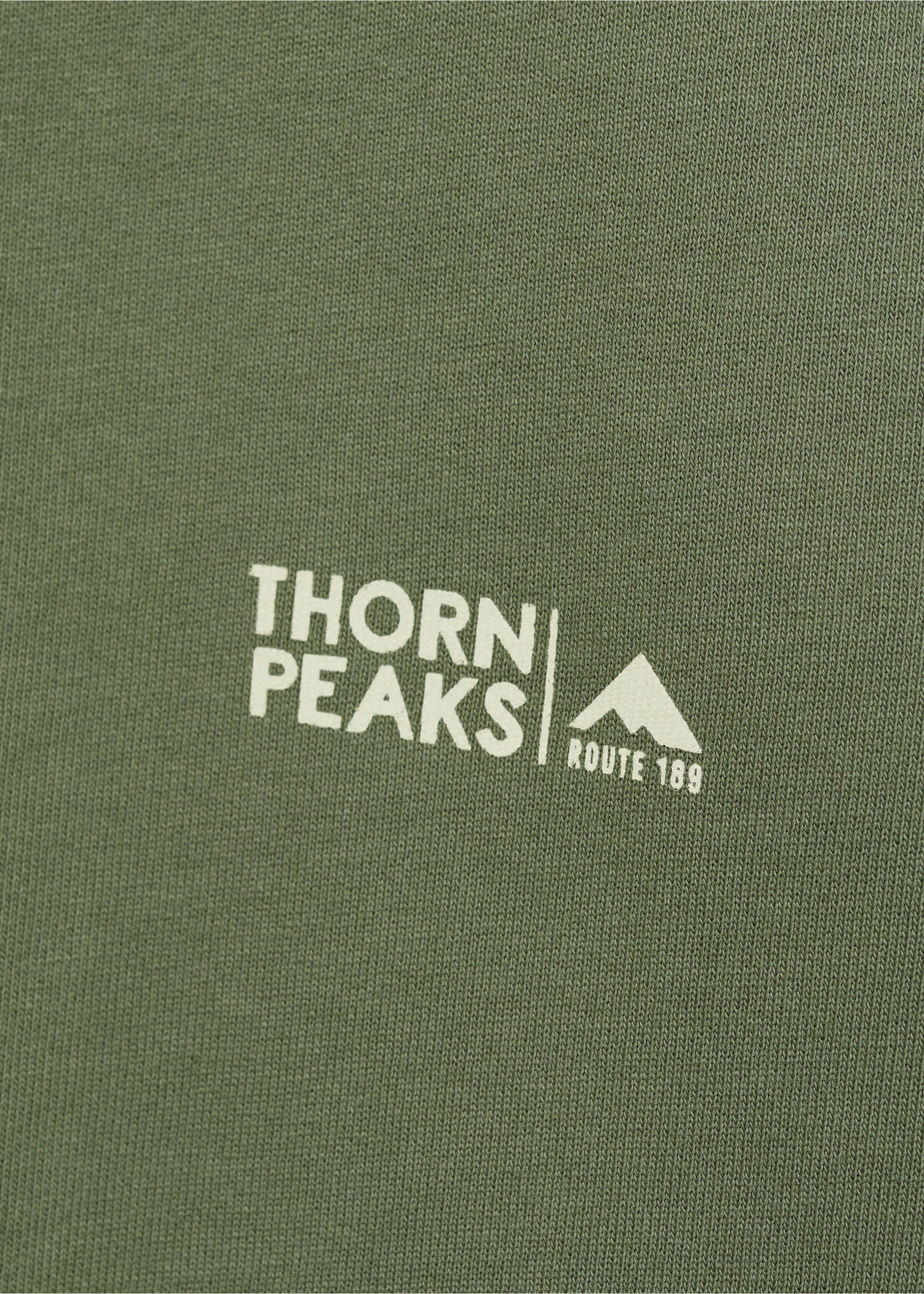 Message cotton sweatshirt - Details of the article 8, Mint Green. Ref: 87024095-00.