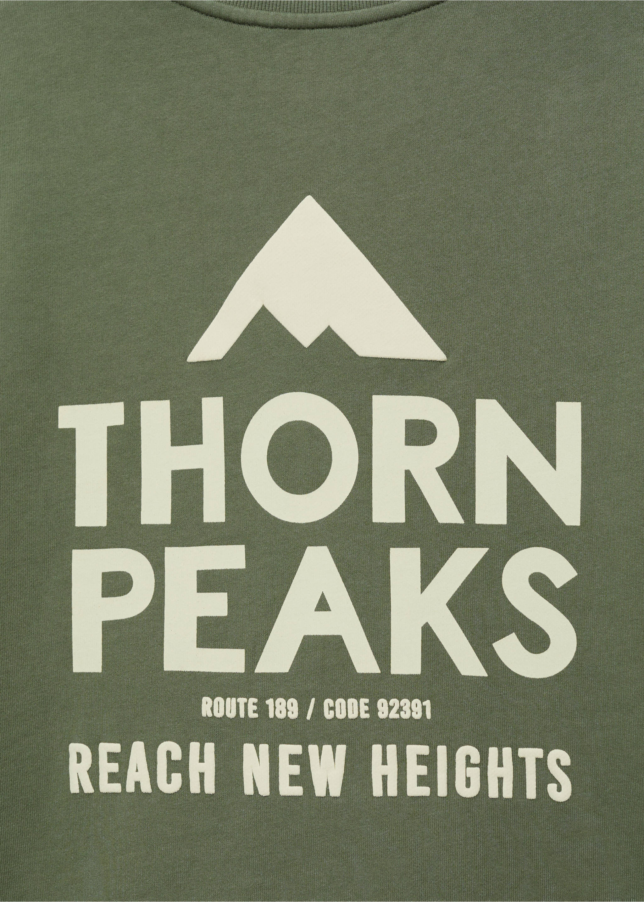 Message cotton sweatshirt - Details of the article 0, Mint Green. Ref: 87024095-00.