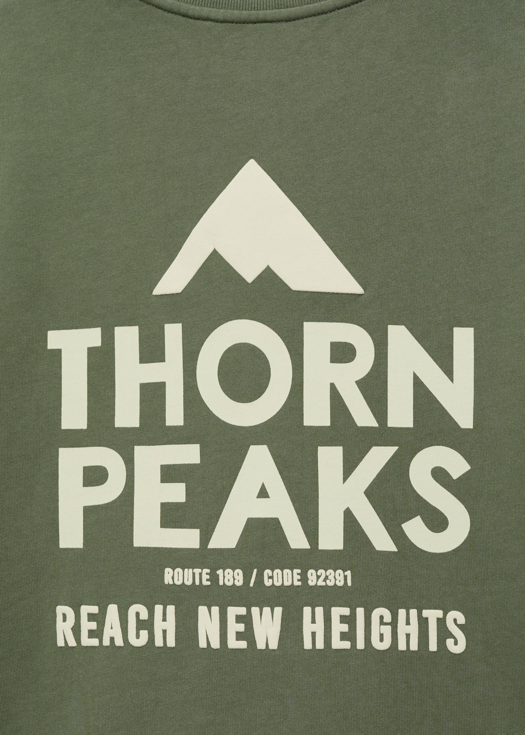 Message cotton sweatshirt - Details of the article 0