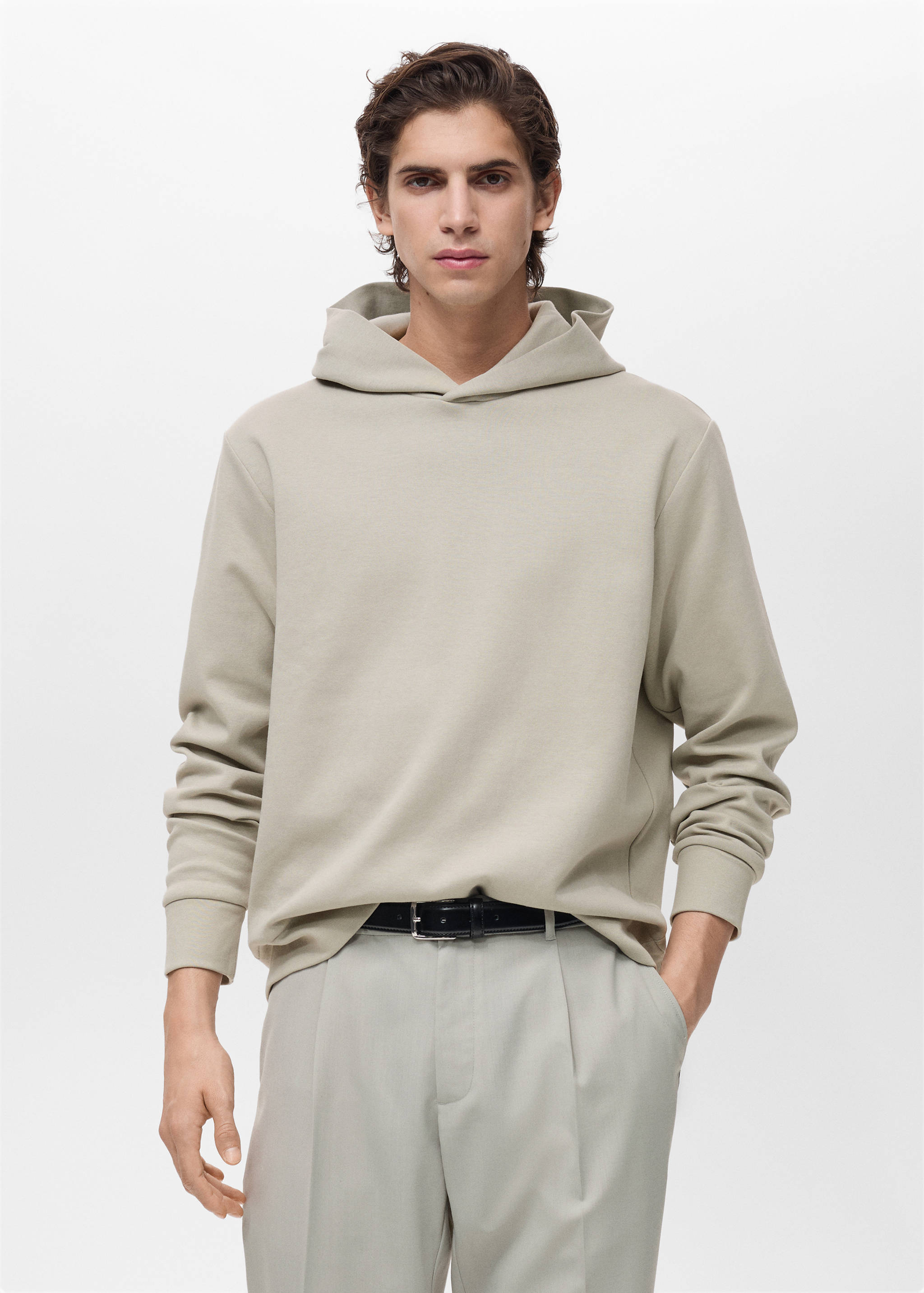 Regular-fit cotton hoodie - Medium plane