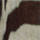 Colour Brown selected