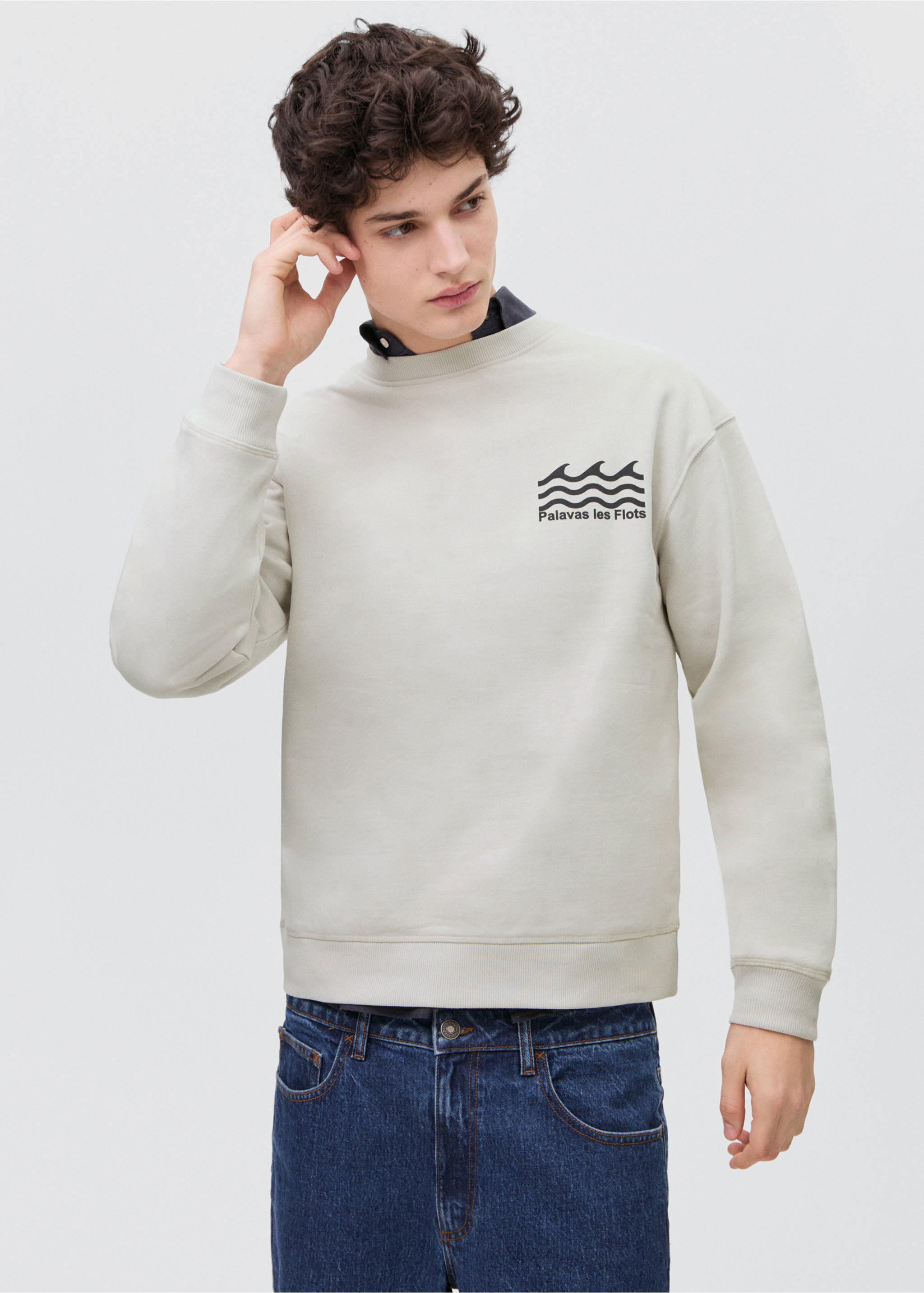 Printed cotton sweatshirt - Medium plane, Grey. Ref: 87035738-00.