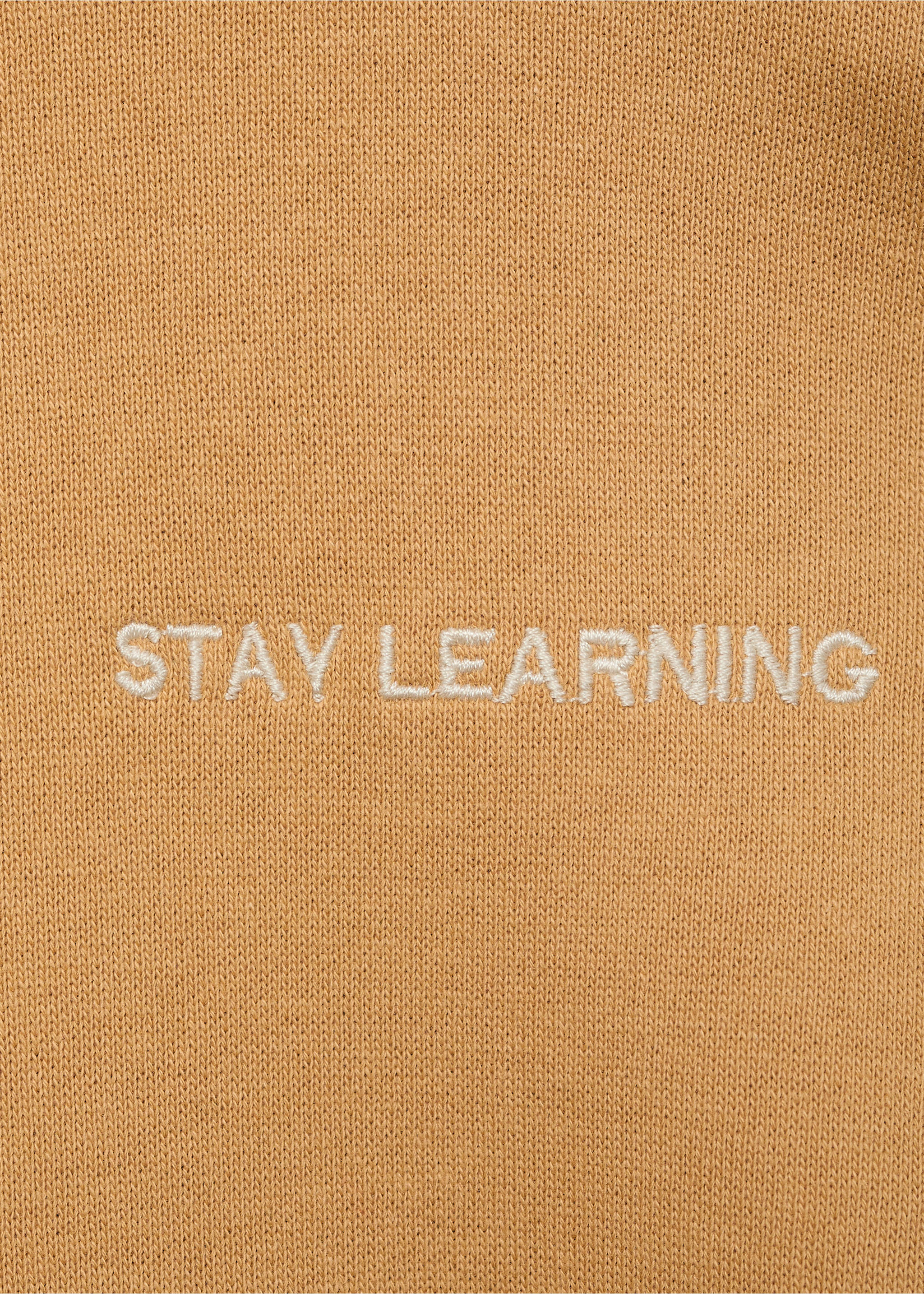 Printed picture sweatshirt - Details of the article 8, Ochre. Ref: 87035958-00.