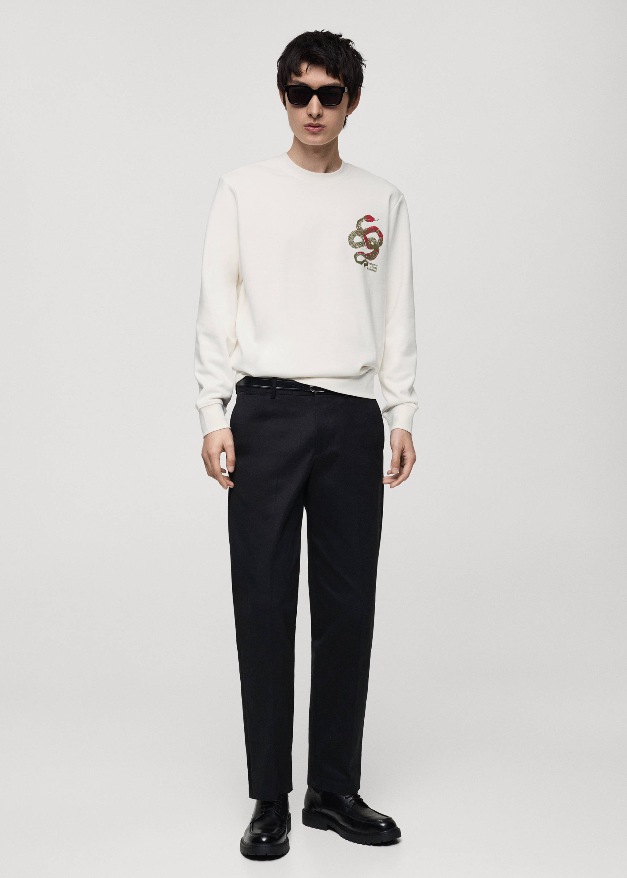 100% cotton sweatshirt with embroidered graphic on the chest - General plane