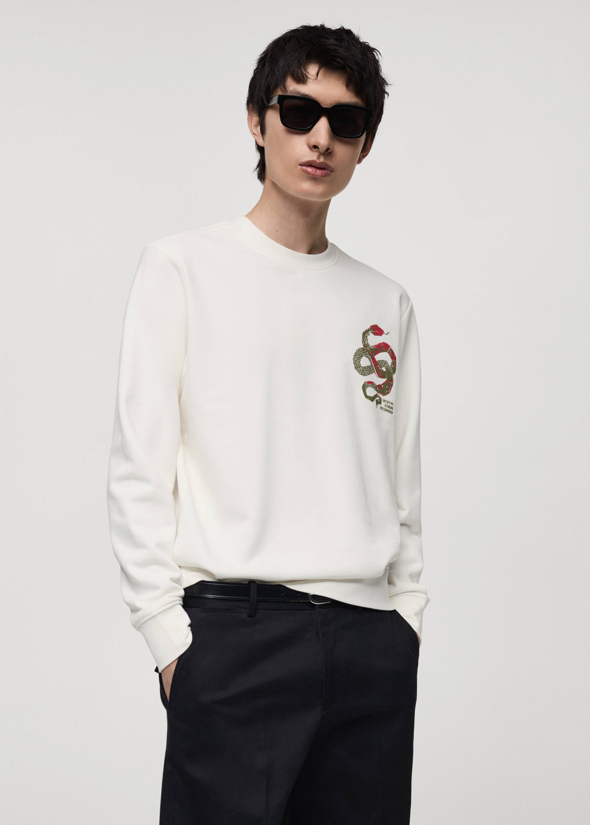 100% cotton sweatshirt with embroidered graphic on the chest - Medium plane