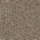Color Brown selected