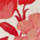 Colour Red selected