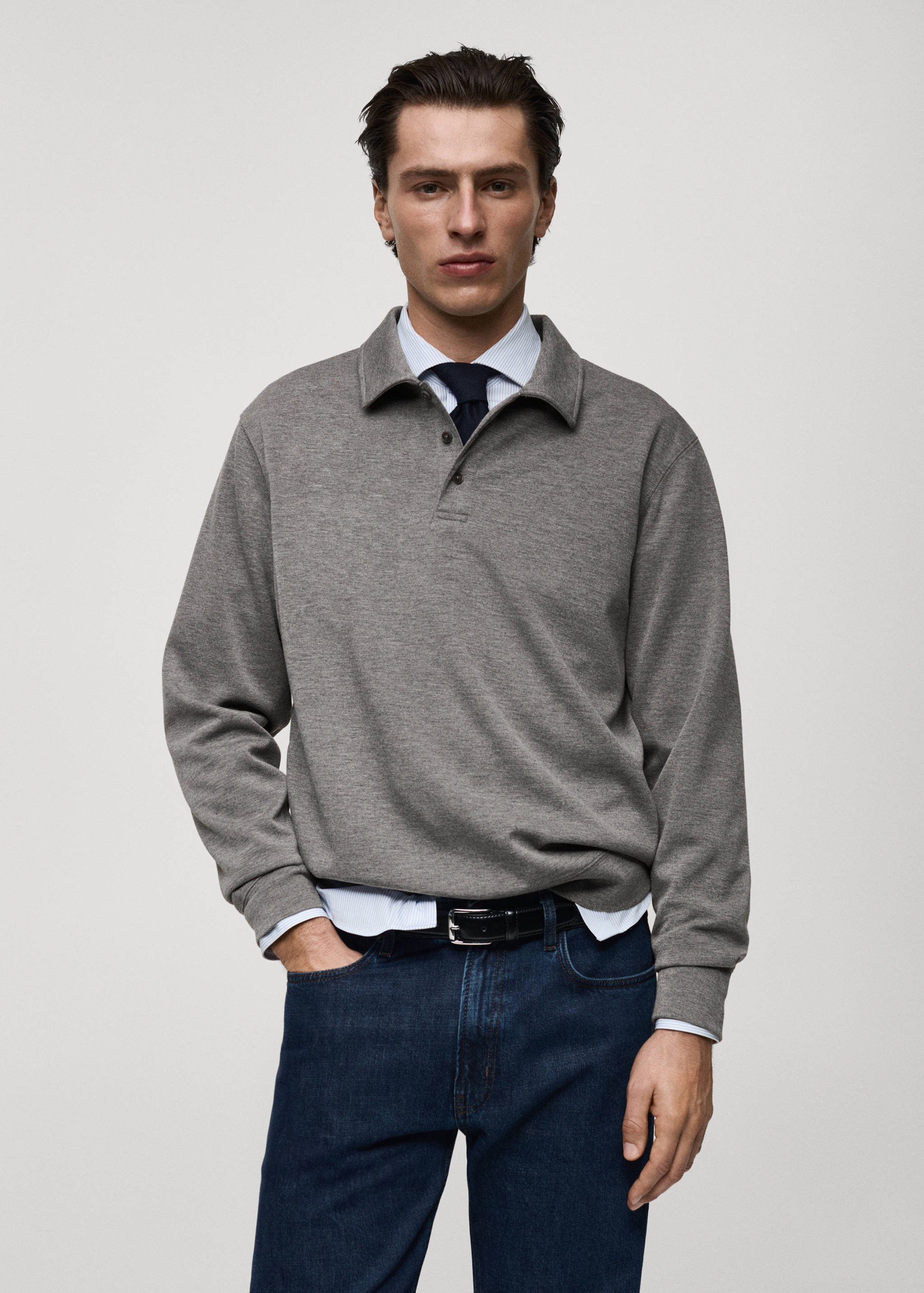 Regular-fit polo sweatshirt - Medium plane