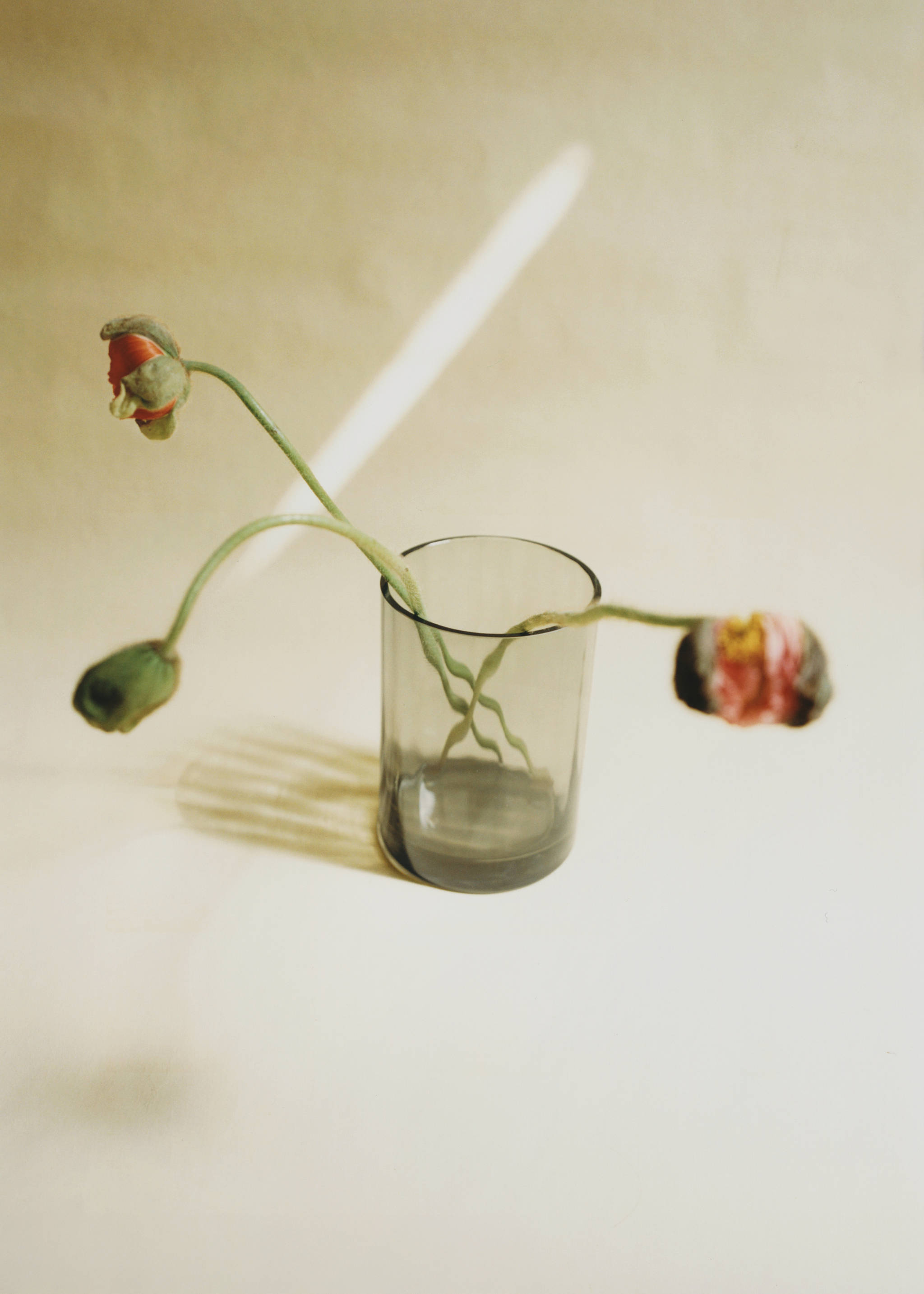 Medium hand-blown glass vase - Details of the article 6, Grey. Ref: 87042979-00.