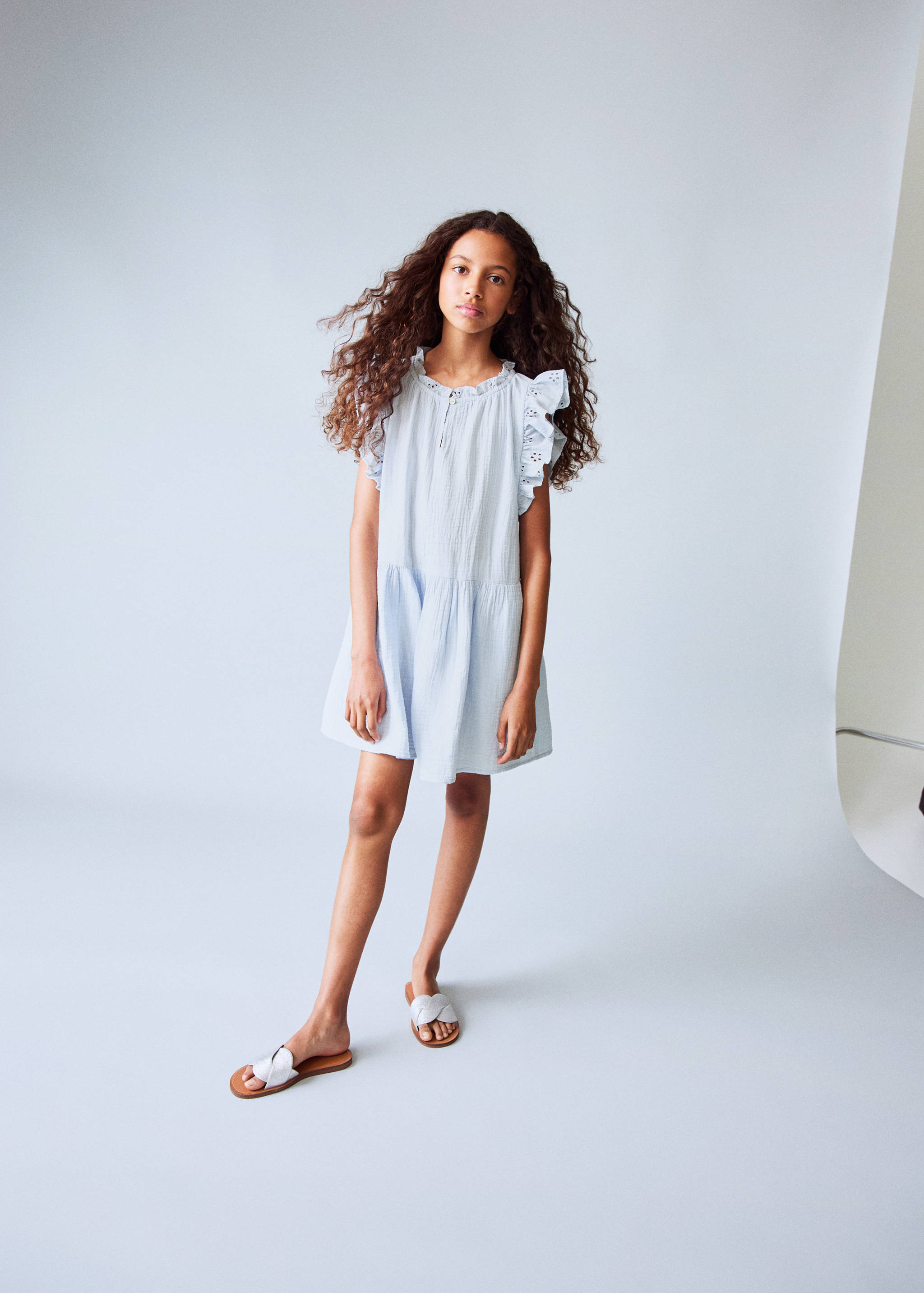 Frills embroidered dress - General plane