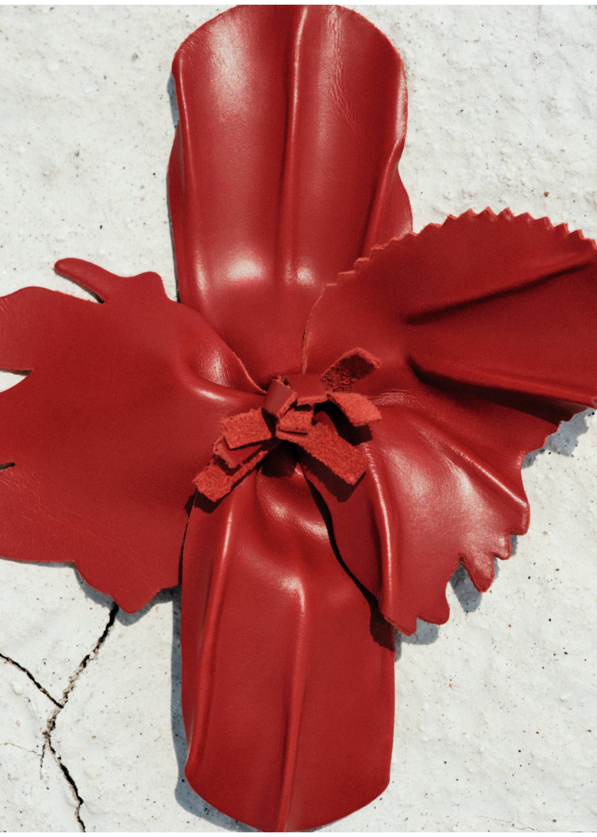 Cinto fino de pele com pormenor floral - Pormenor do artigo 5, Vermelho. Ref: 87047714-00.