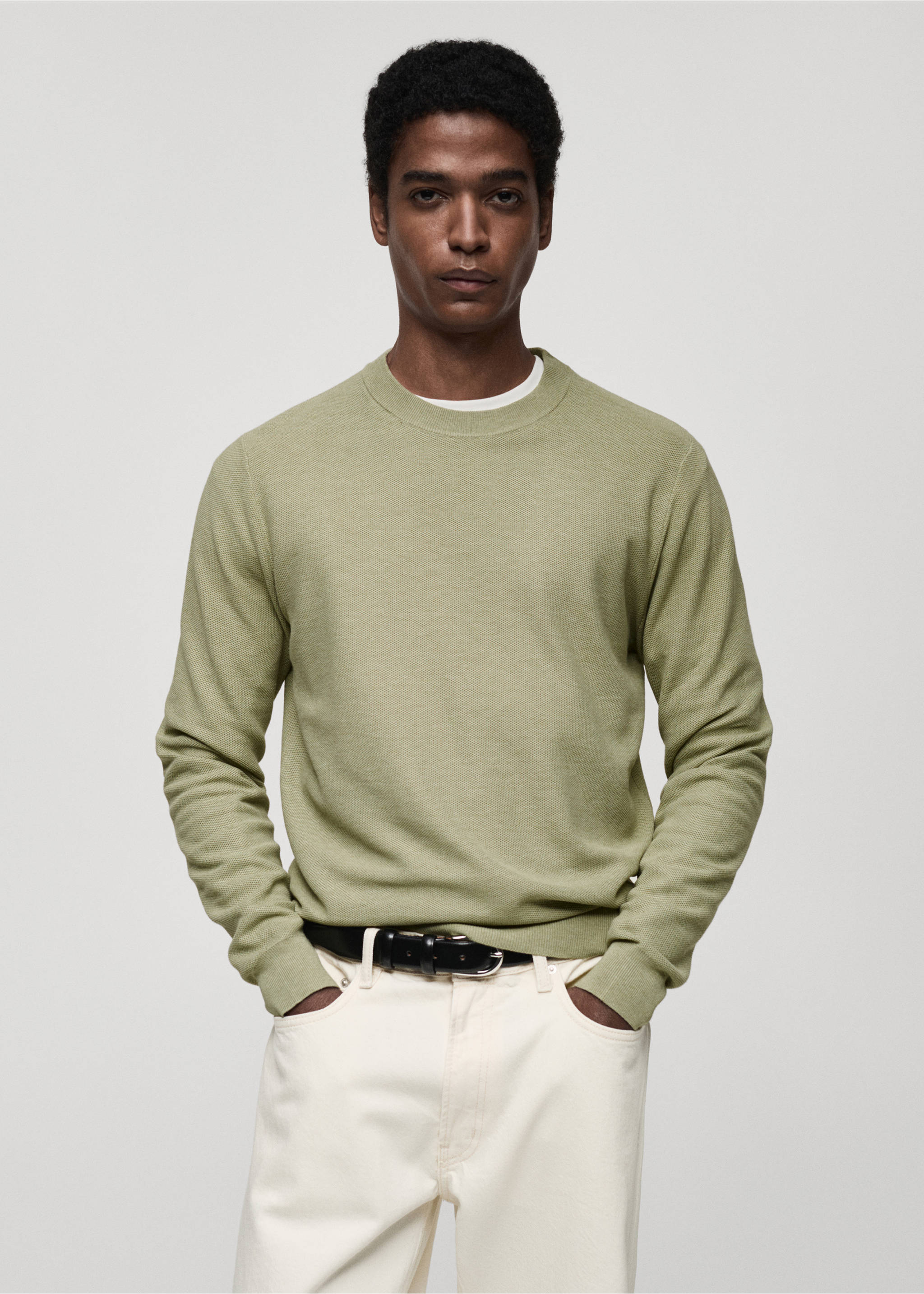 Microstructured cotton knitted sweater - Medium plane, Green Apple. Ref: 87050599-00.