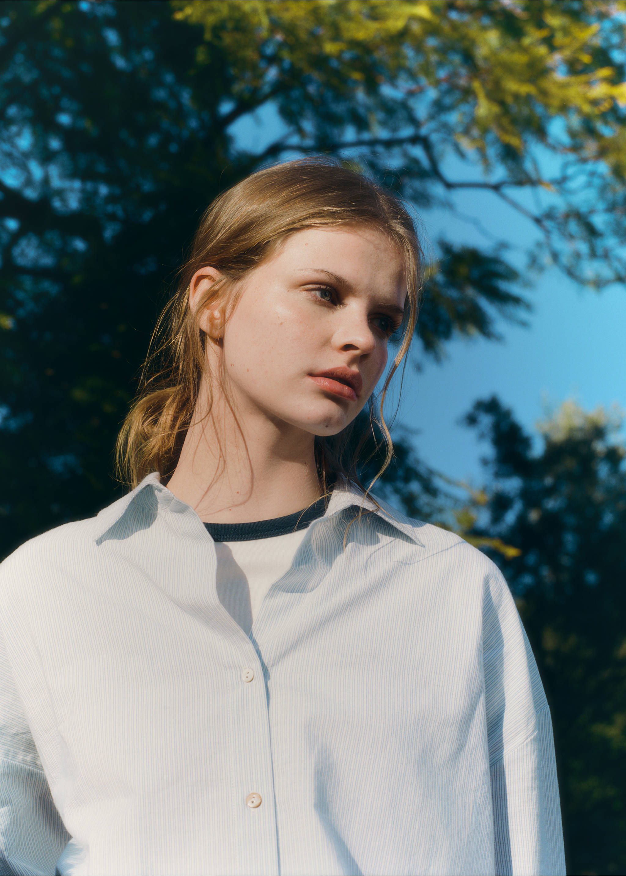 Chemise à rayures - Détail de l'article 5, Bleu ciel. Ref: 87052541-00.