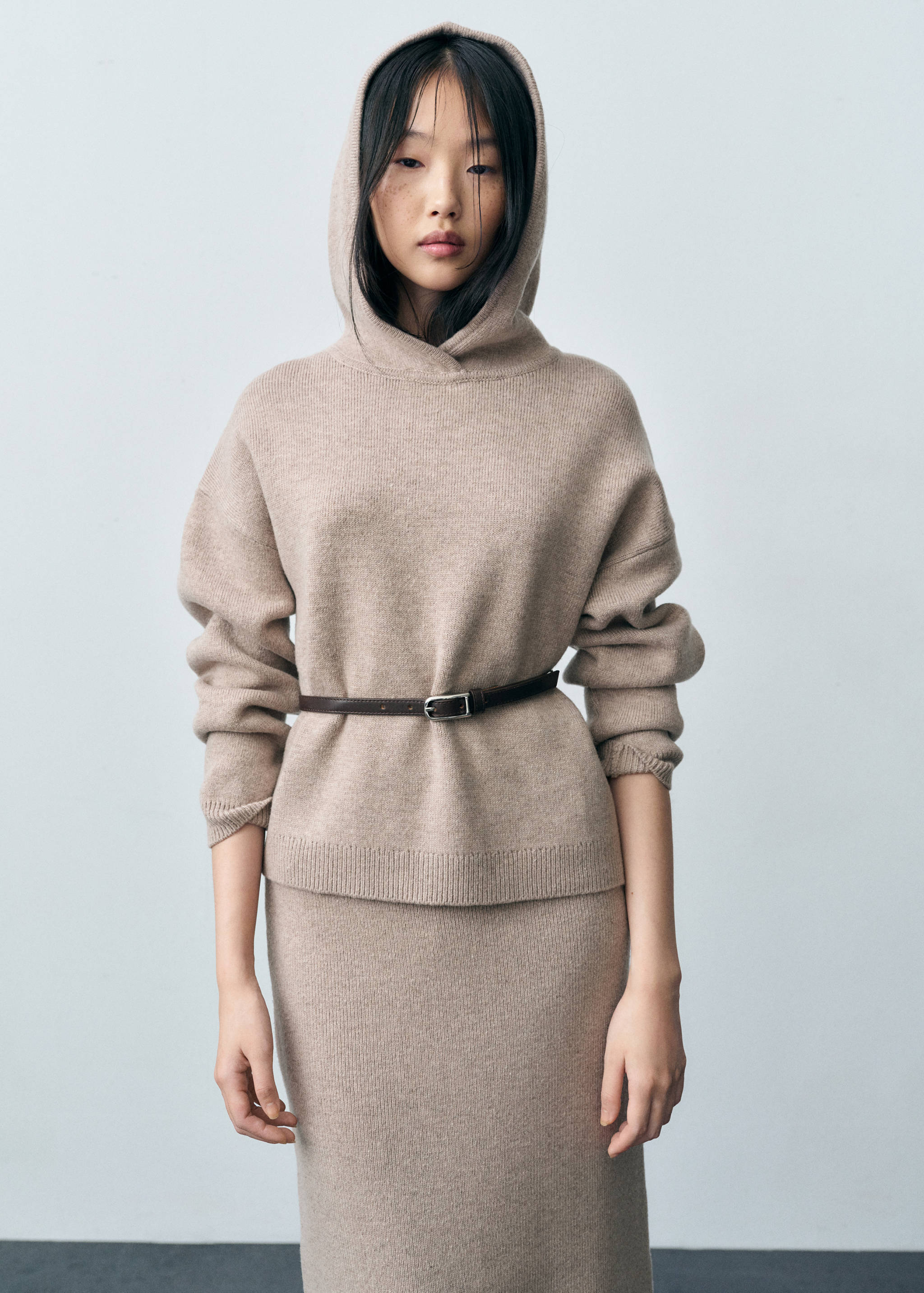 Wool-blend hooded sweater - Medium plane