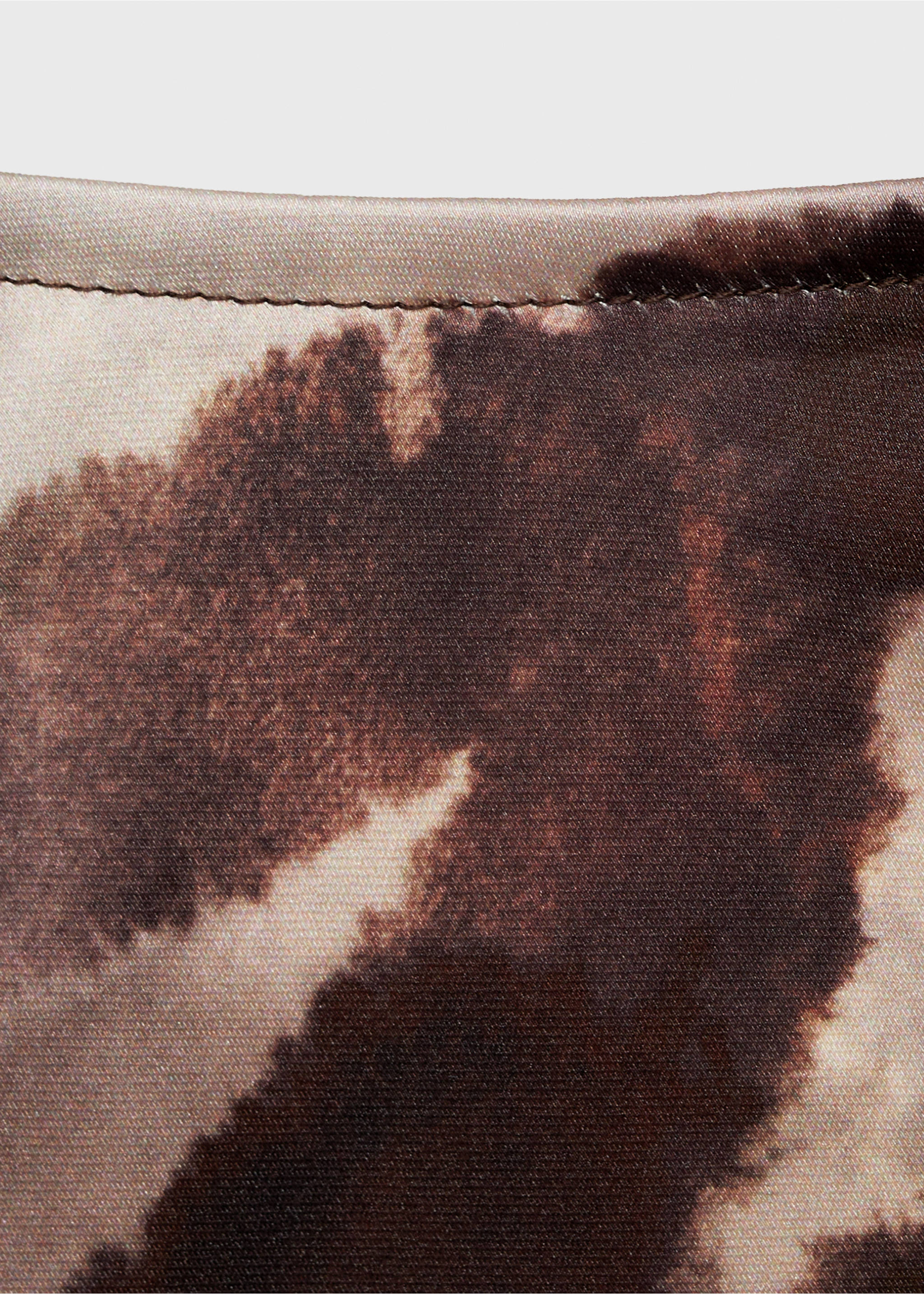 Long satin zebra skirt - Details of the article 8, Brown. Ref: 87054093-00.