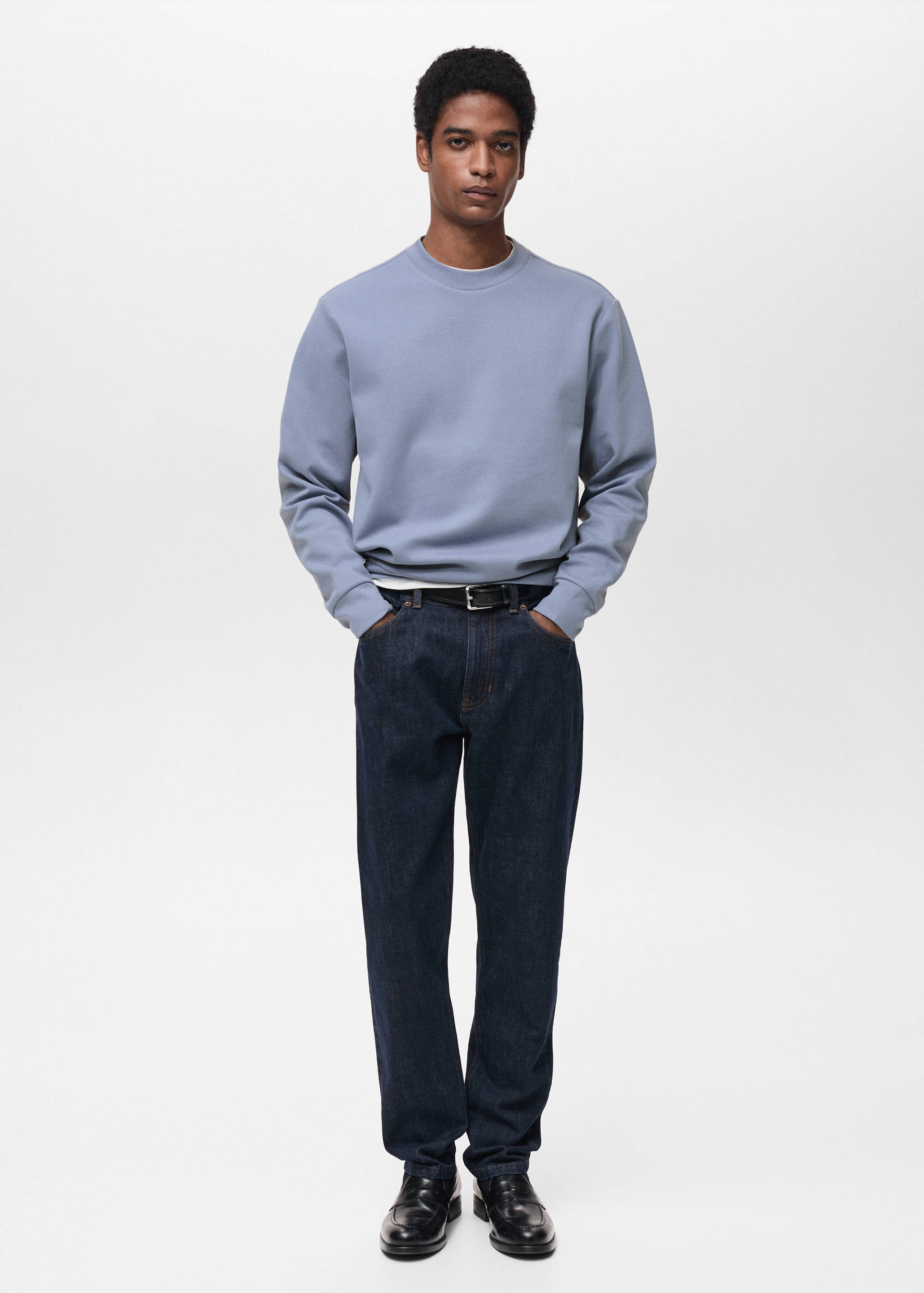 Regular-fit cotton sweatshirt - General plane