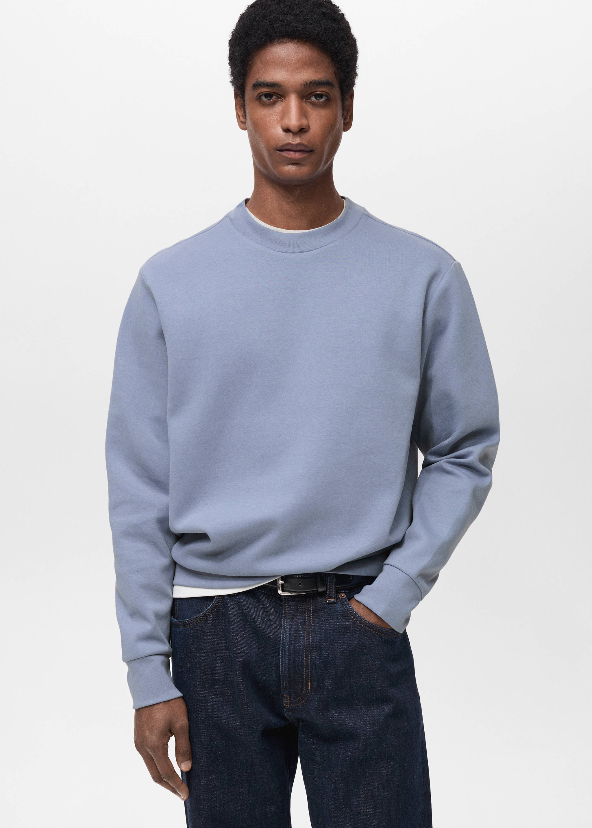Regular-fit cotton sweatshirt - Medium plane