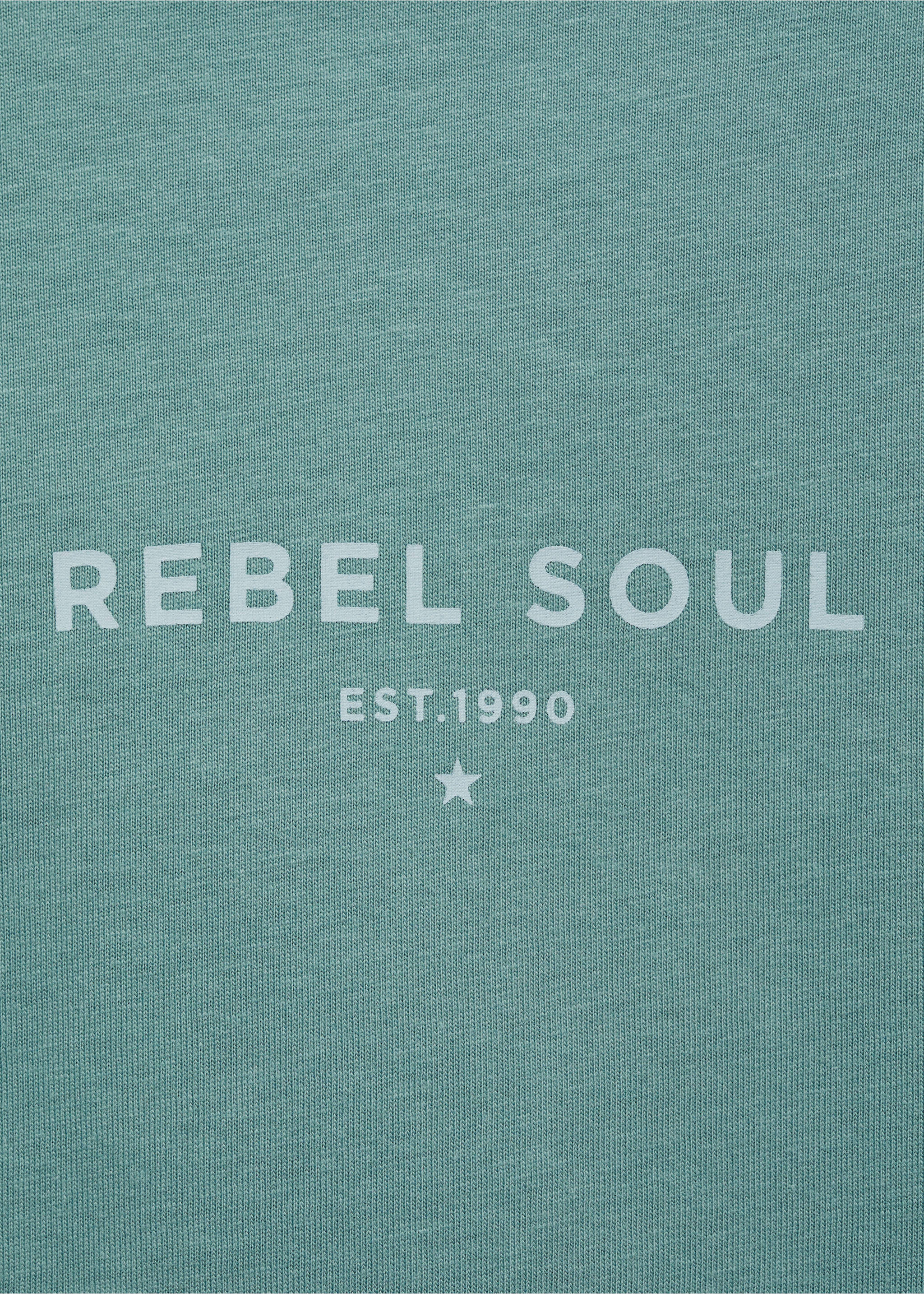 Message cotton T-shirt - Details of the article 0, Pastel Green. Ref: 87054784-00.