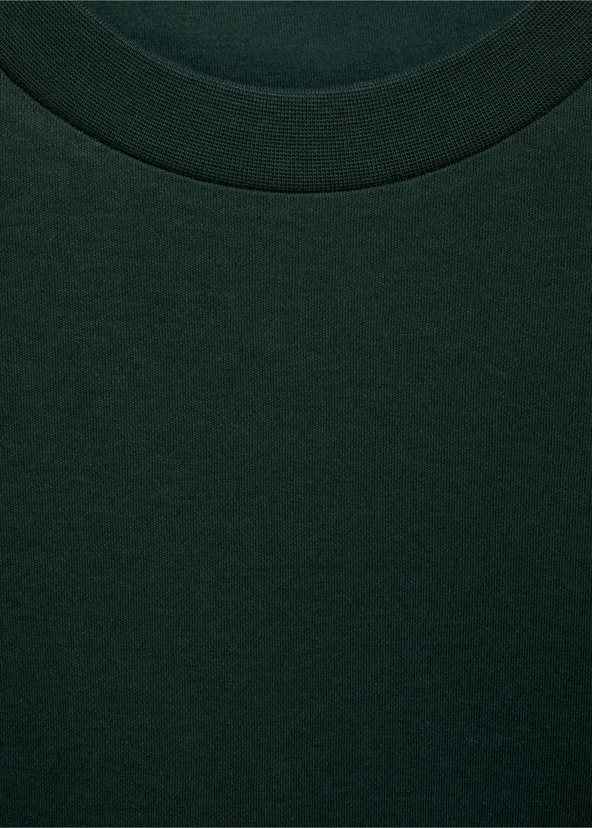 Långärmad regular fit t-shirt - Detaljer om artikeln 8, Grön. Ref: 87060600-00.