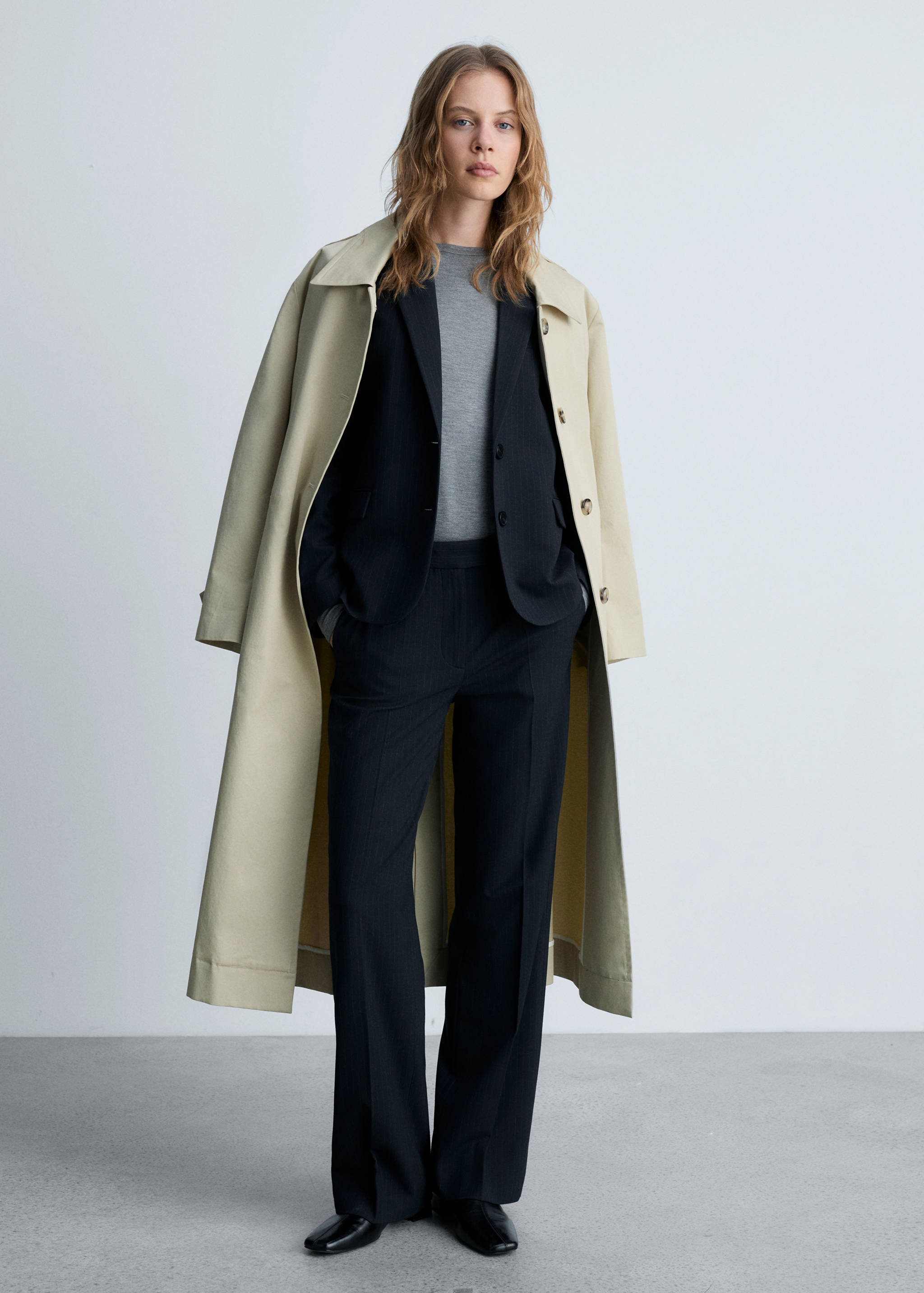 Pinstripe suit trousers - General plane