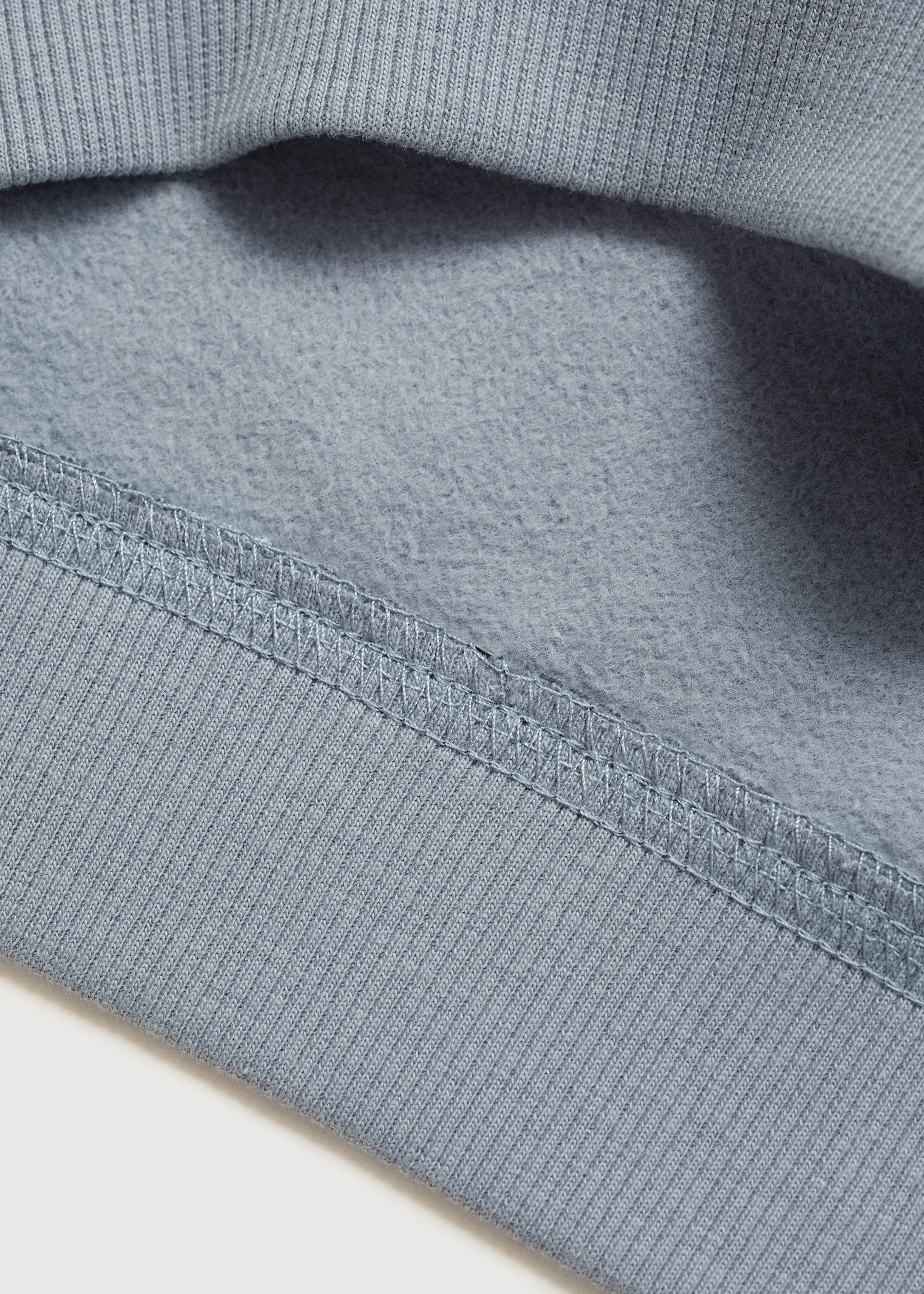 Bluey-print sweatshirt - Details of the article 0