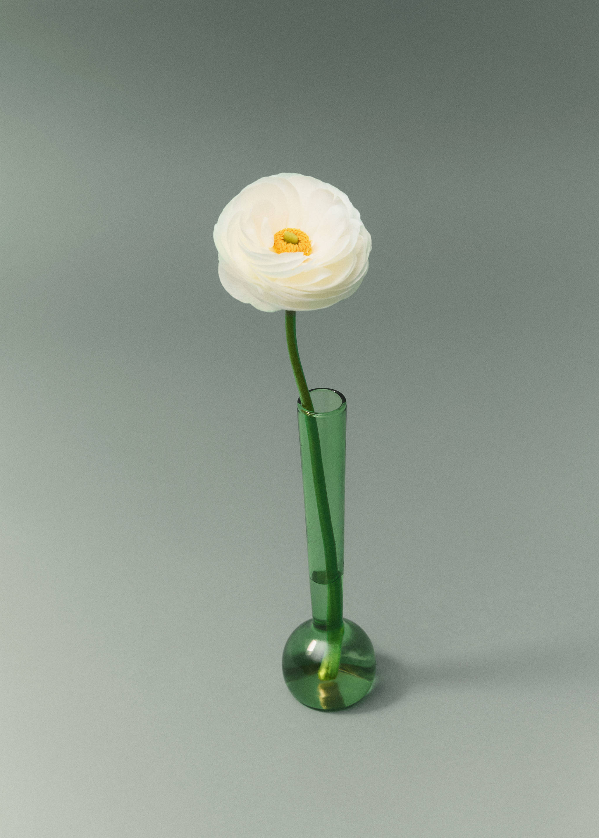 Gerro violeter borosilicat - Detall de l'article 6