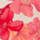 Colour Red selected