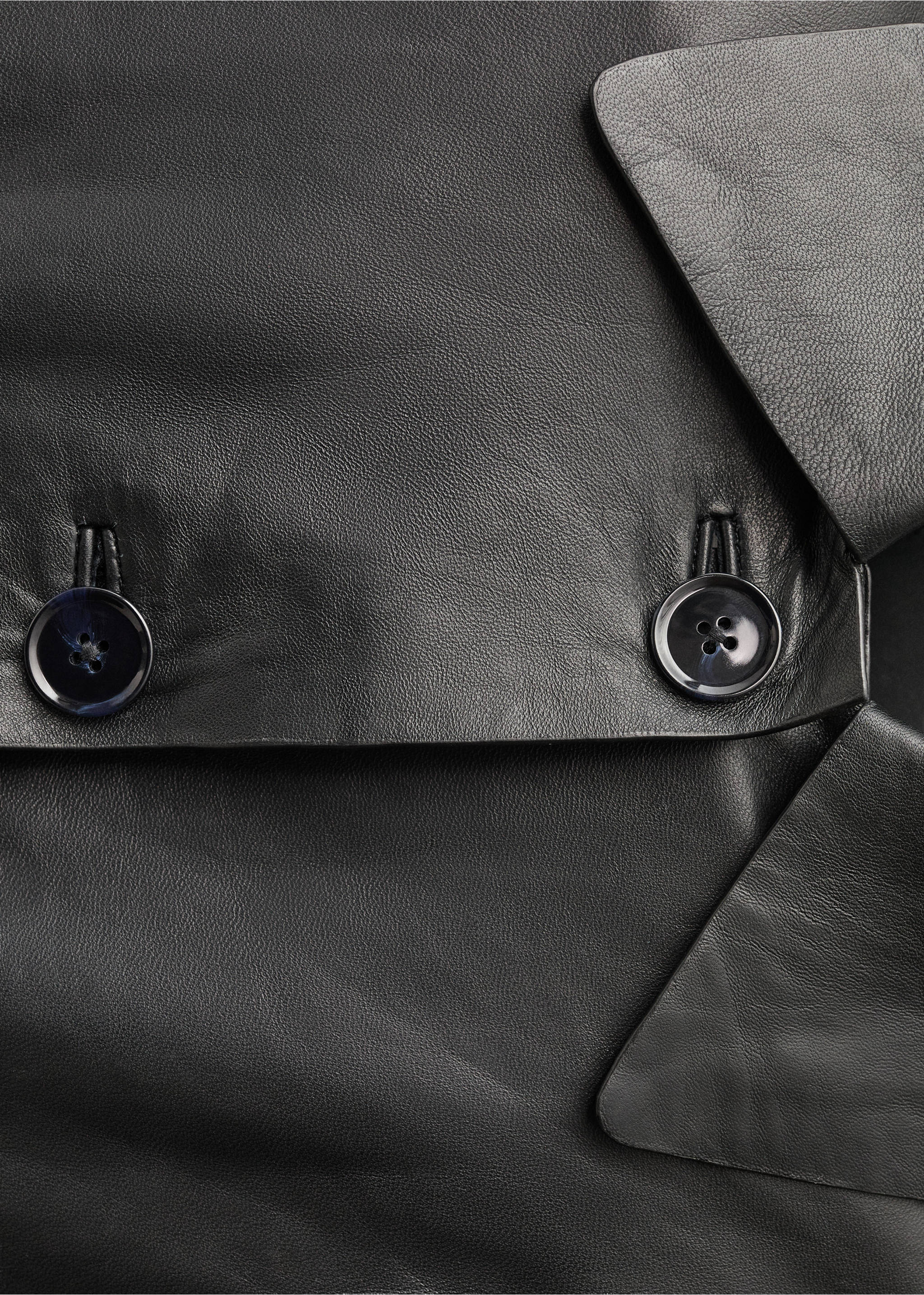 Buttoned leather jacket - Details of the article 0, Black. Ref: 87094074-00.