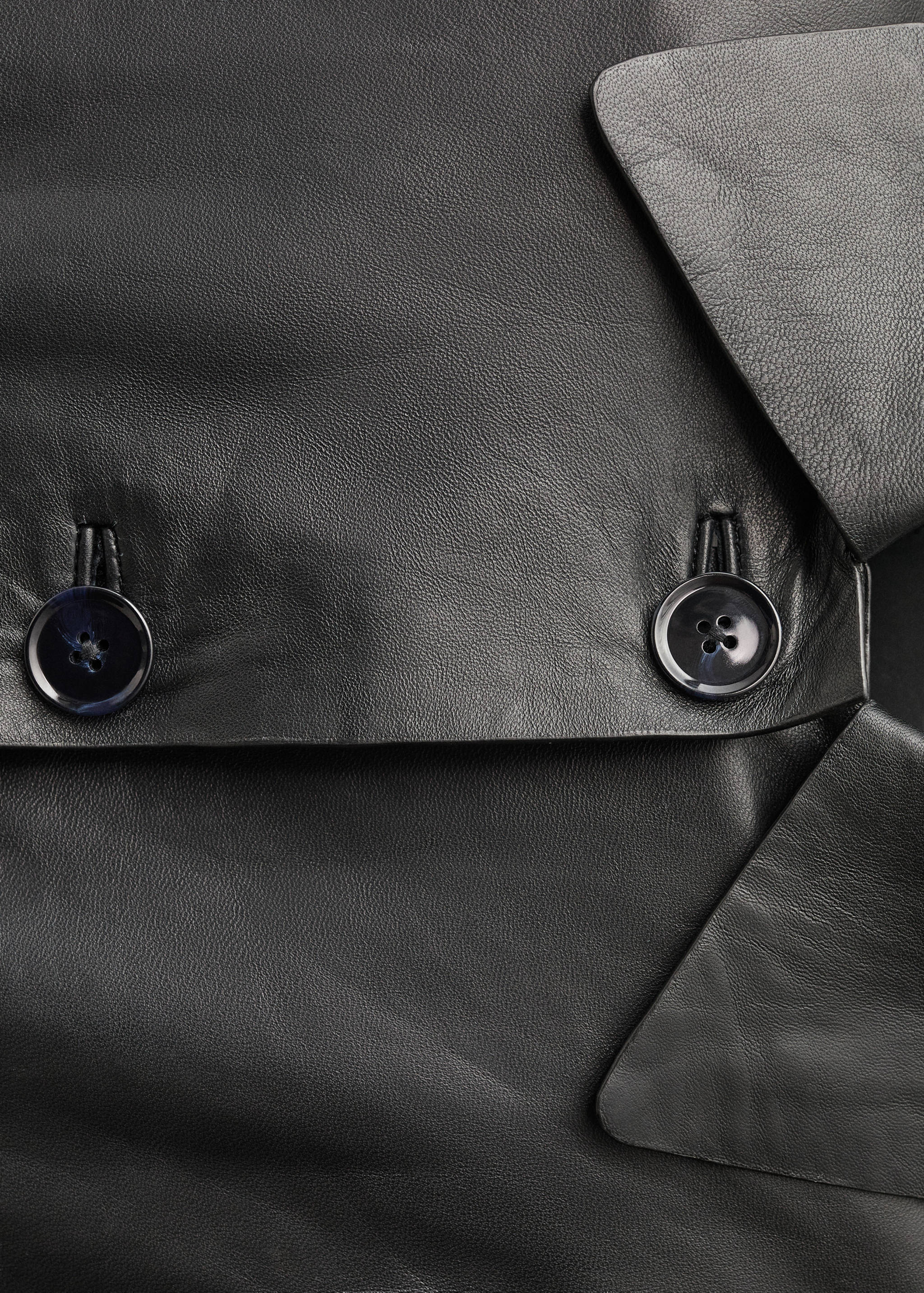 Buttoned leather jacket - Details of the article 0
