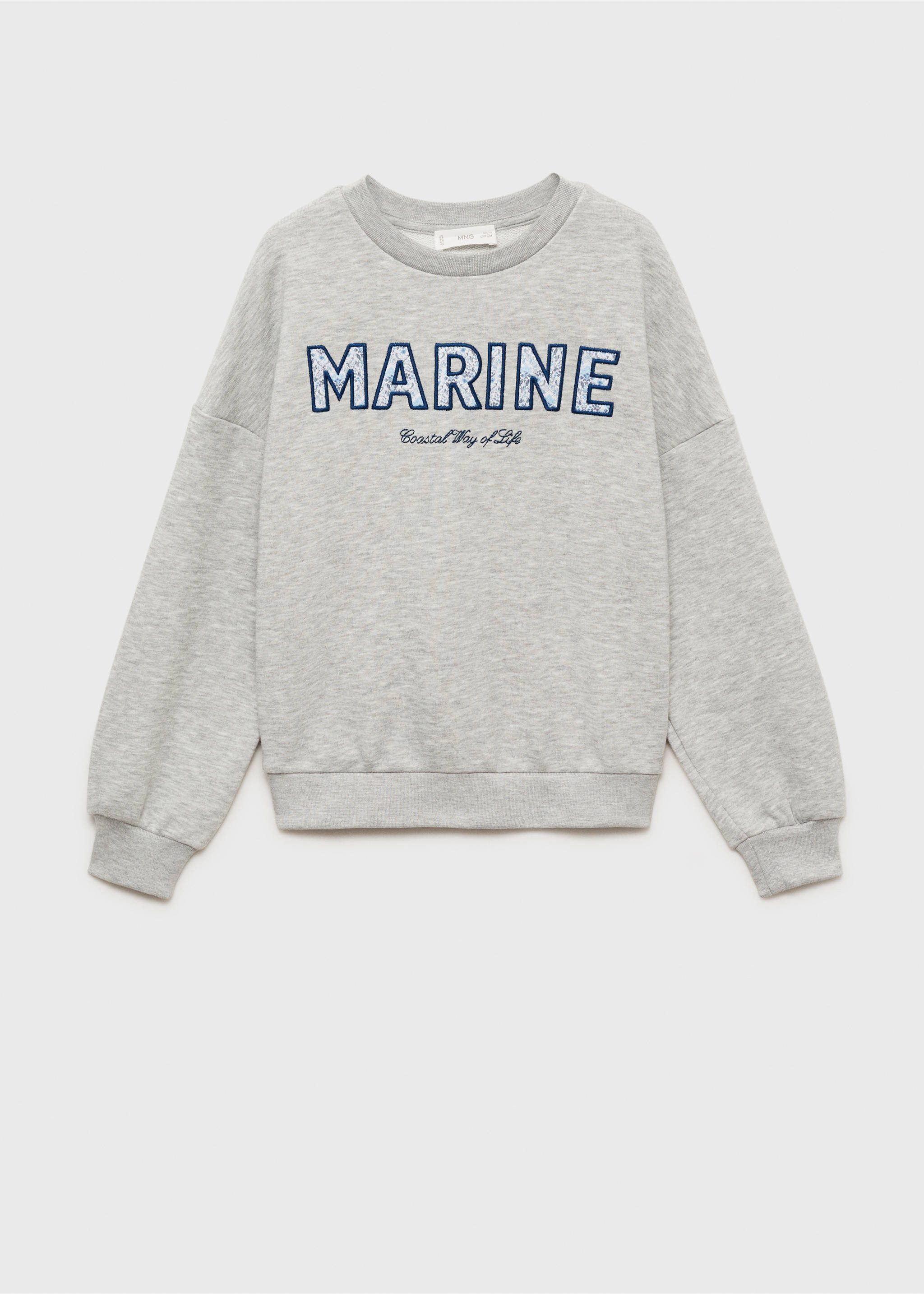 Cotton sweatshirt with embroidered message - Article without model, Light Heather Grey. Ref: 87094805-00.