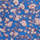 Color Blau seleccionat